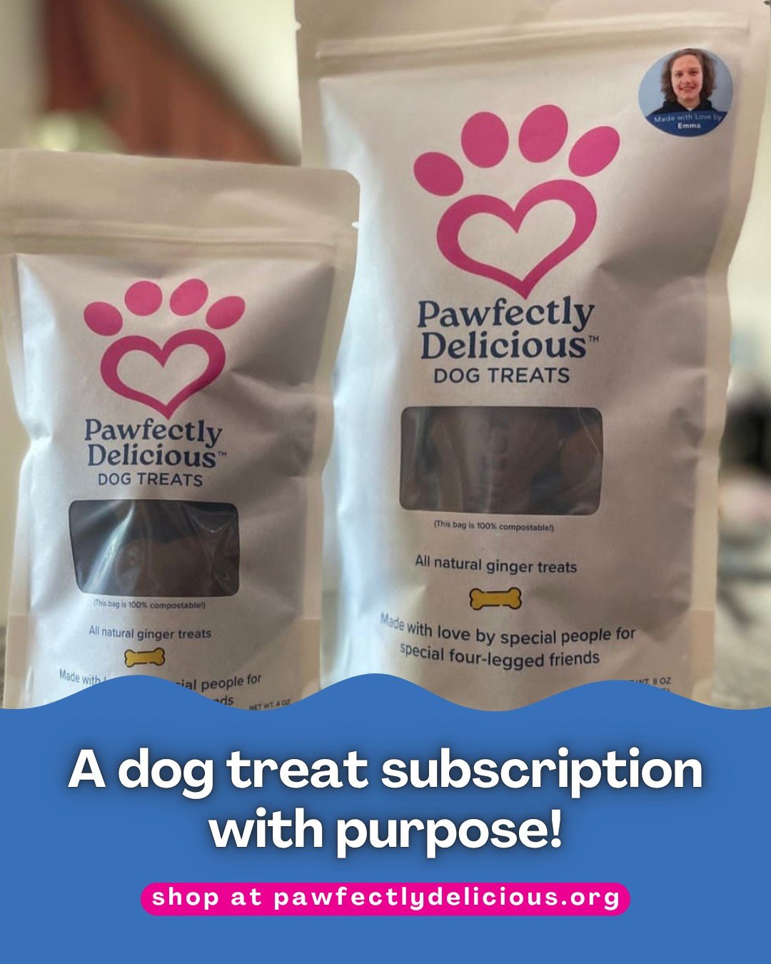 For Disability Employment Awareness Month we're asking dog owners to consider starting a dog treat subscription that supports our team of disabled adults. 

Each package of treats is created with our signature ginger dough and is rolled, baked, and p
