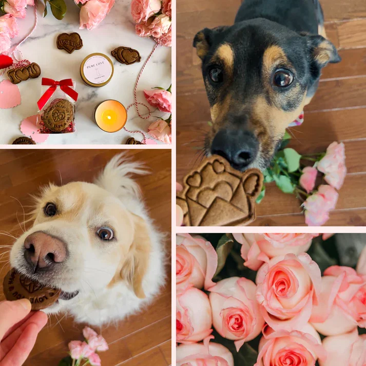 T and T vday collab 3.webp