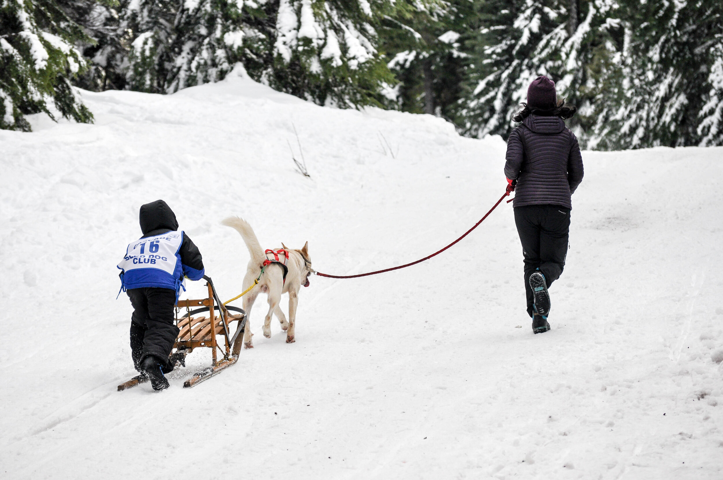 Educational Events — Cascade Sled Dog Club