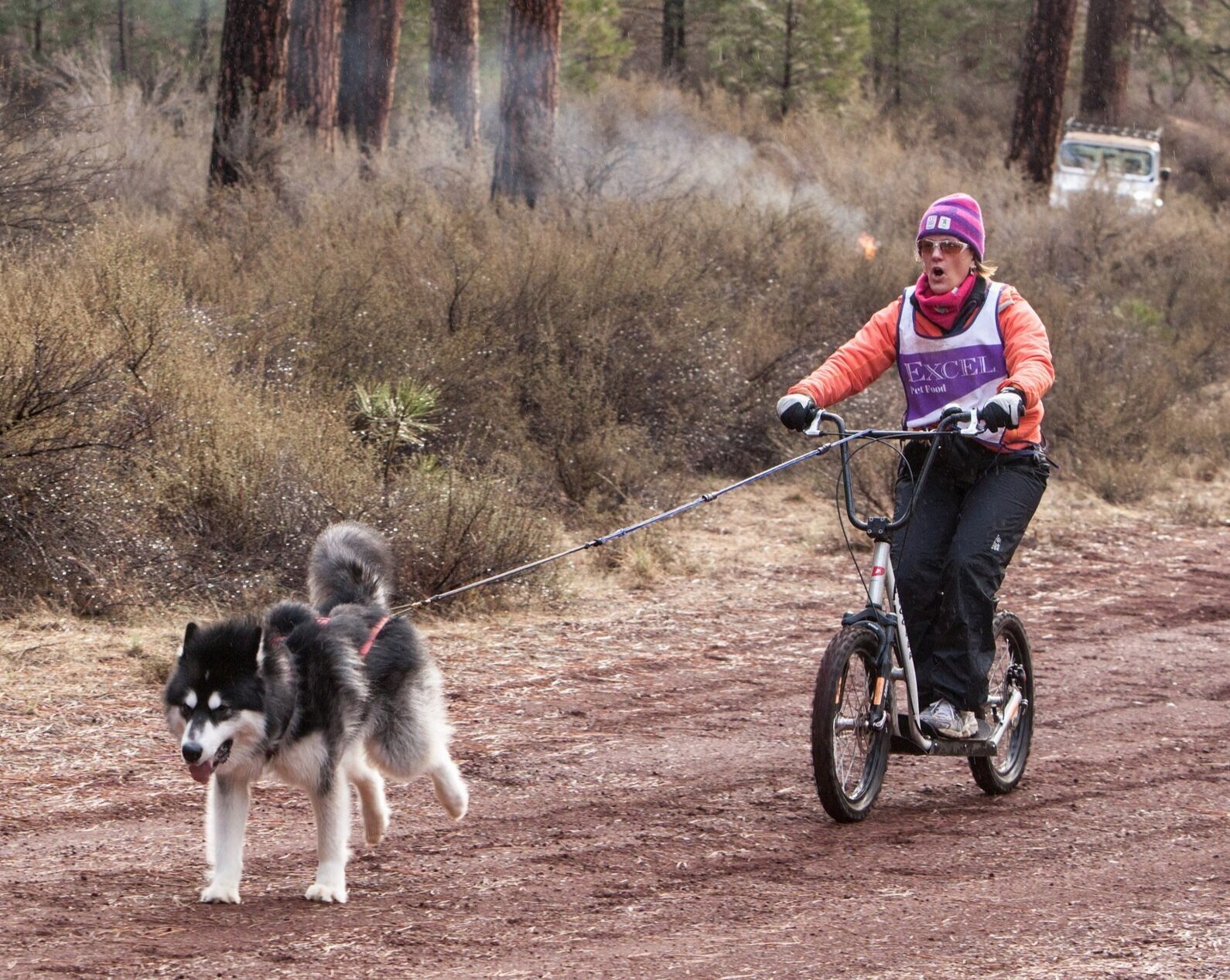 salty dog gravity bike