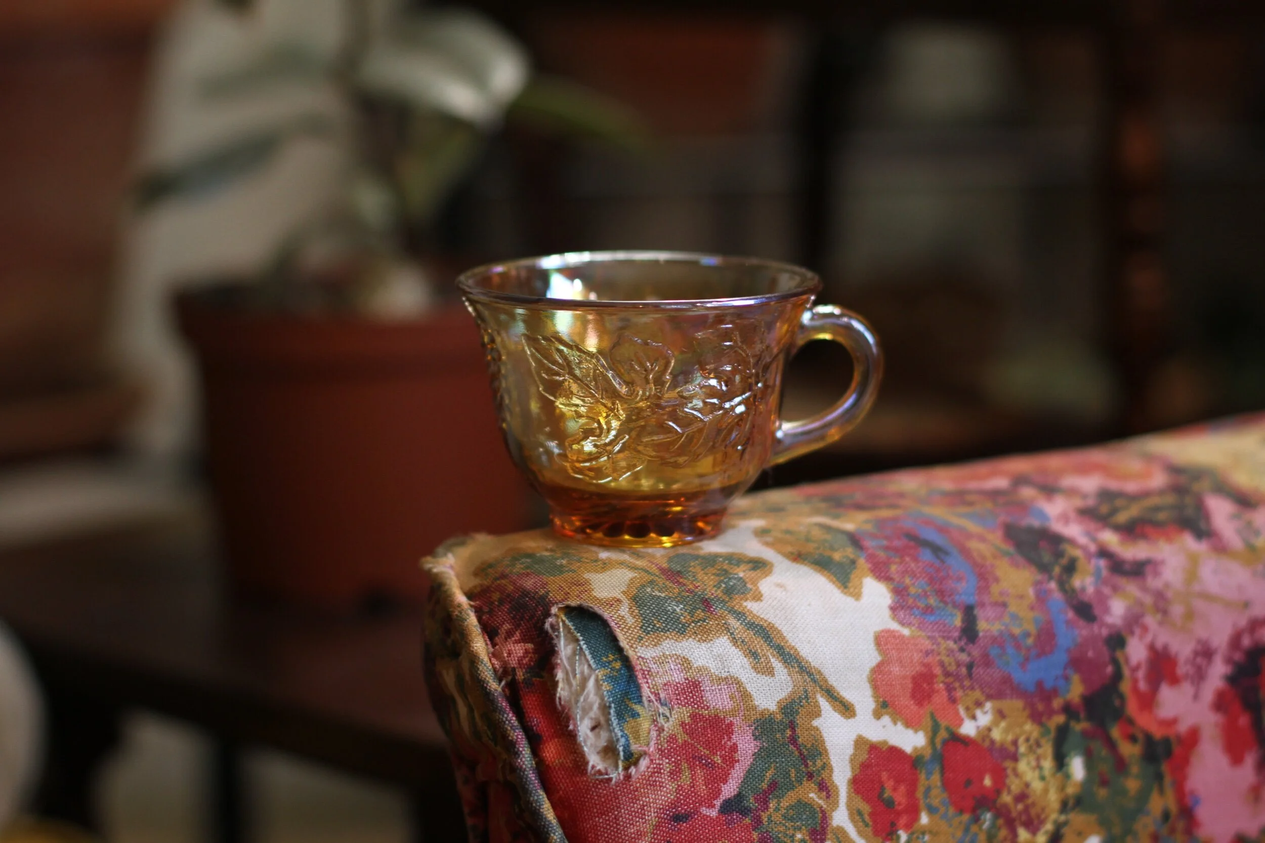 2A2DF88D-40F5-4F28-8D11-0C6157767326