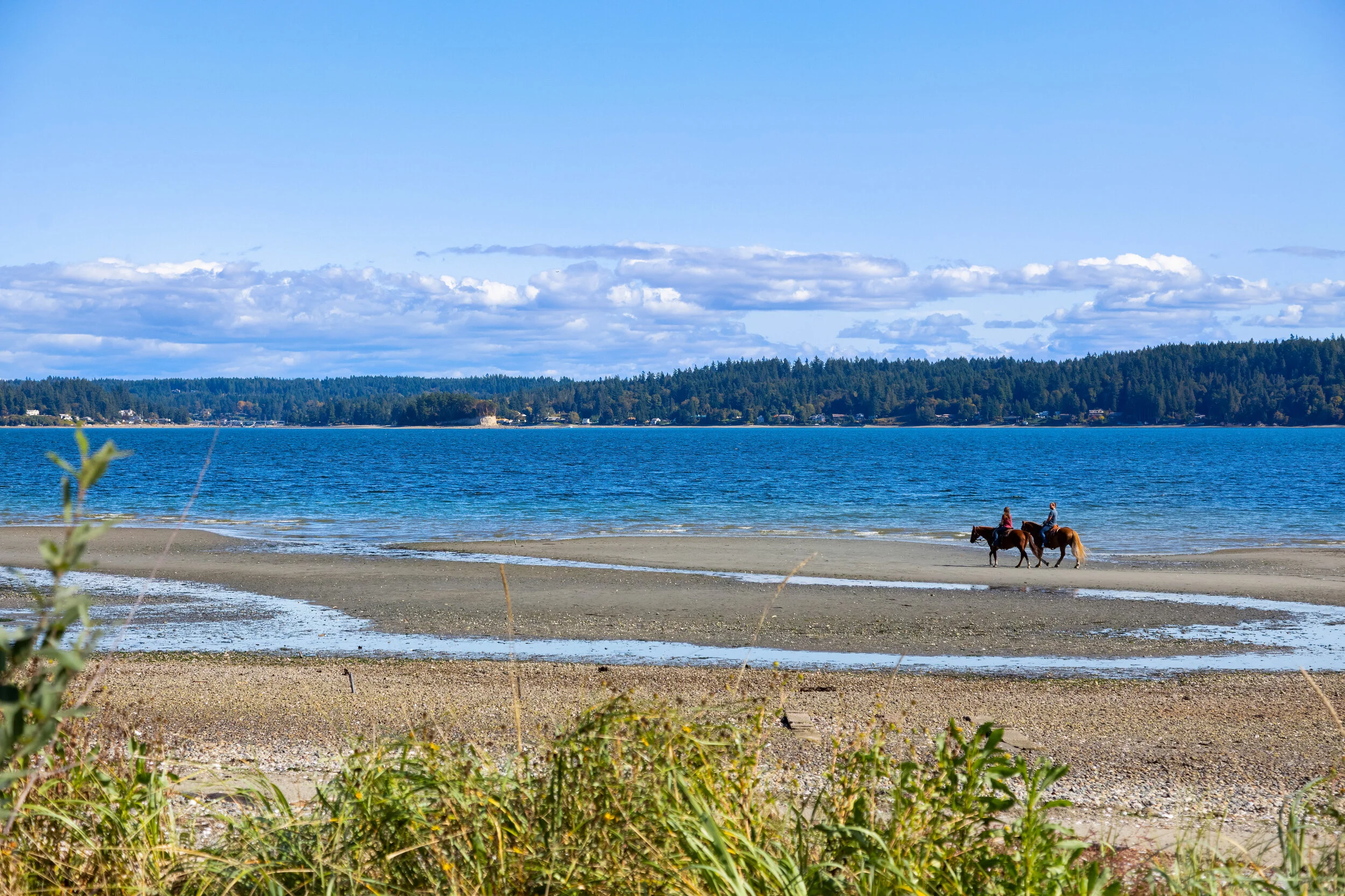 Gig Harbor Coastal Estate