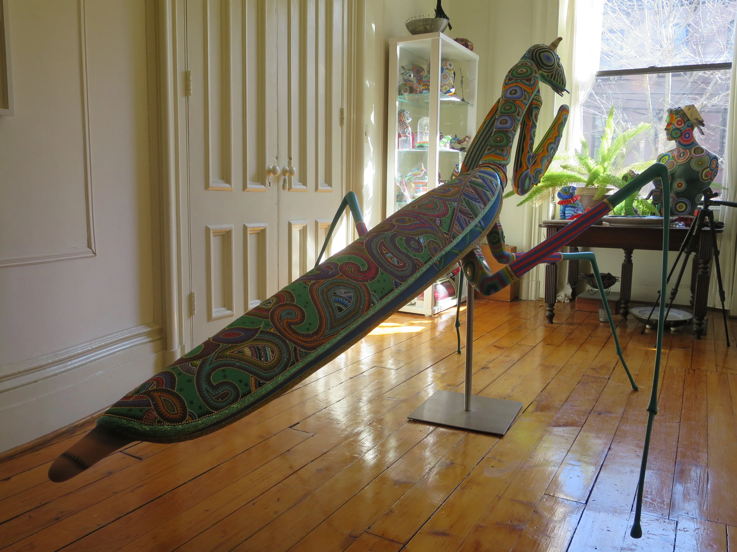 7 Das Bug Parlor Tail View.jpg