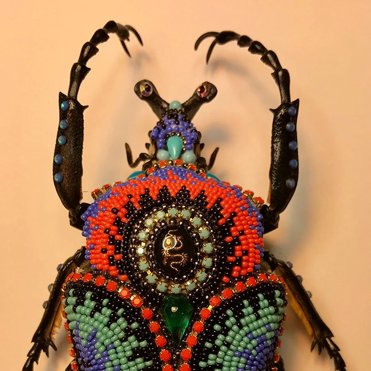 Beetles