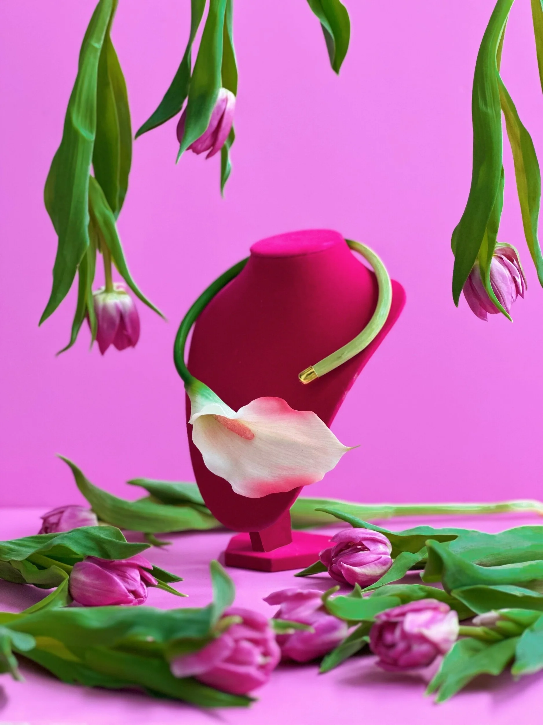 F819742D-729A-47B2-B120-6E977903A93B