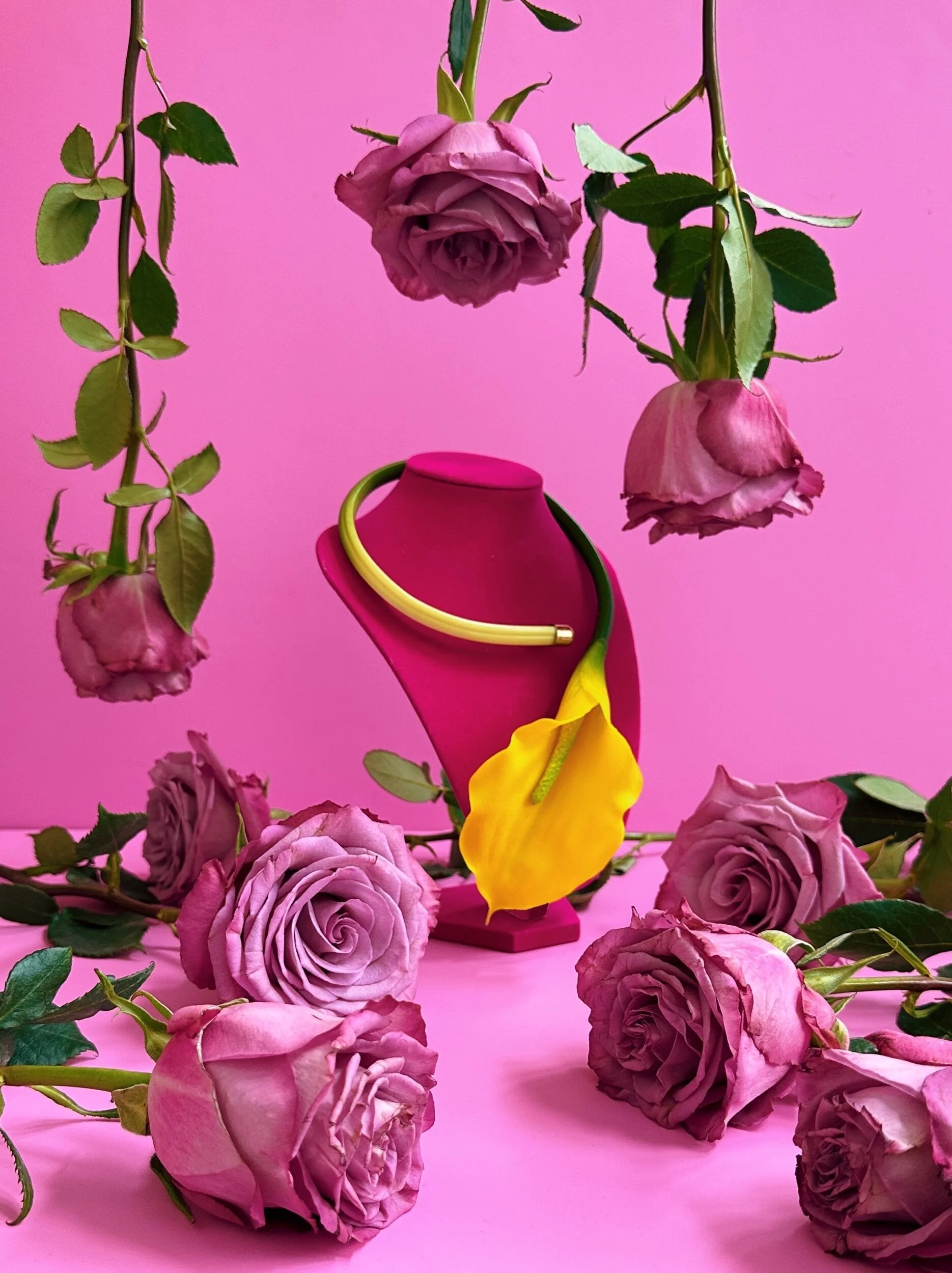 6B748A8E-A684-46E7-A337-DF657790D4B9