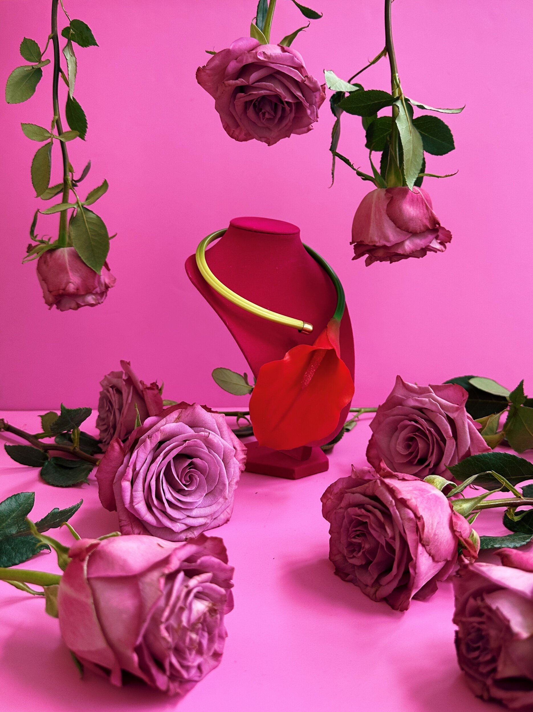 58E420B0-885C-44DA-9392-794A275D6CDC