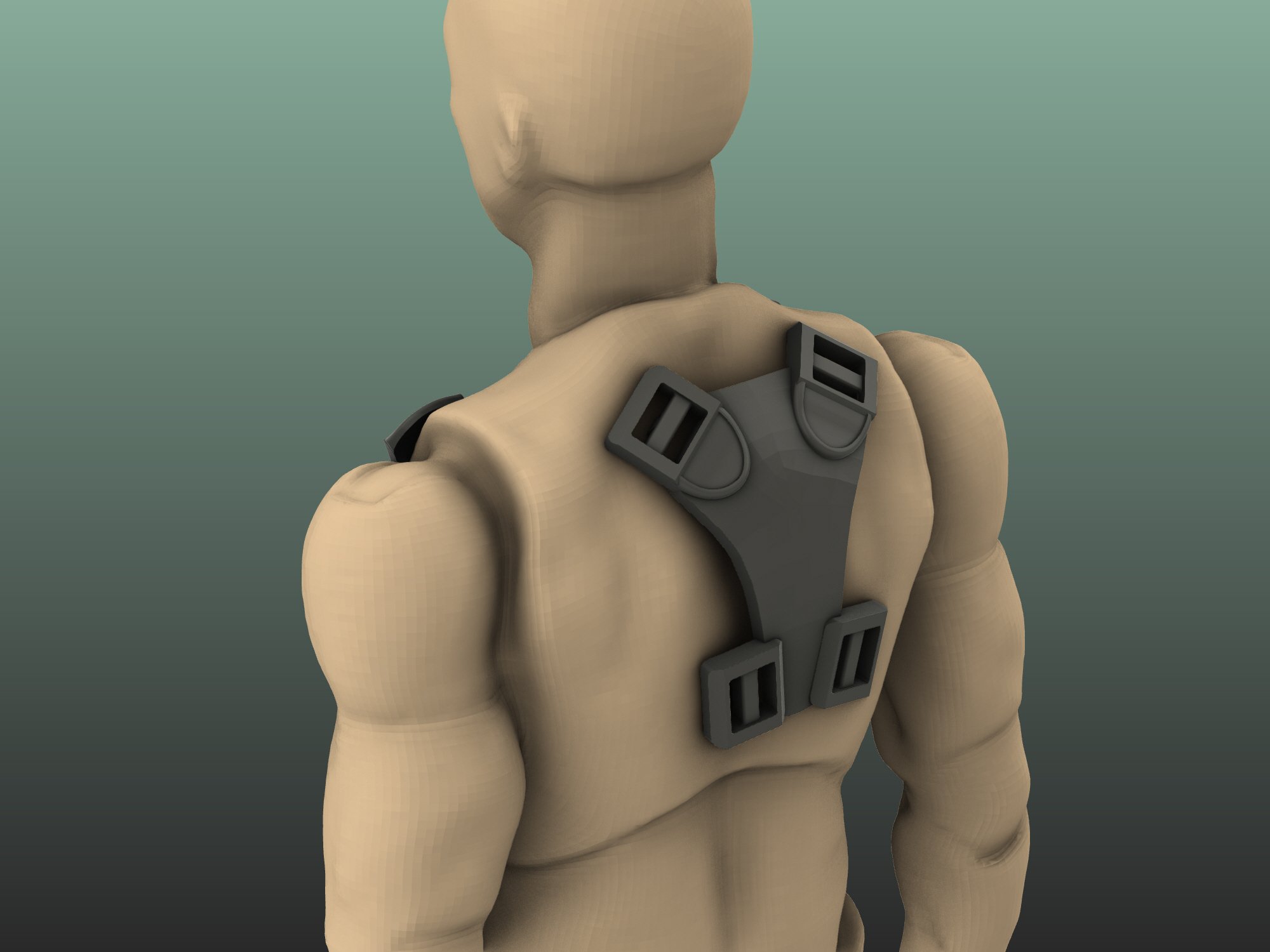 Chest_rig_back.jpg
