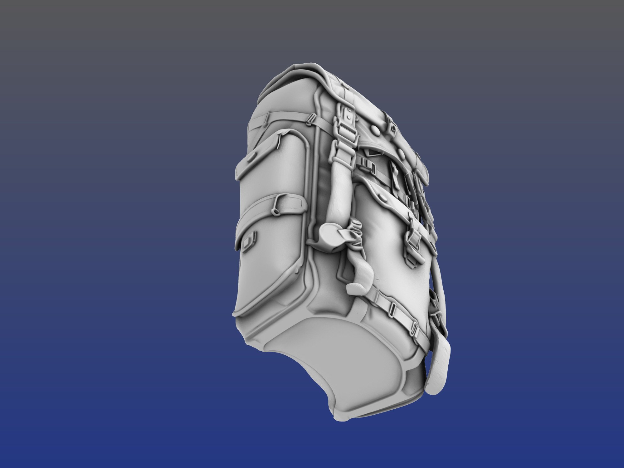 Dustbelt_rucksack_4.jpg (Copy)