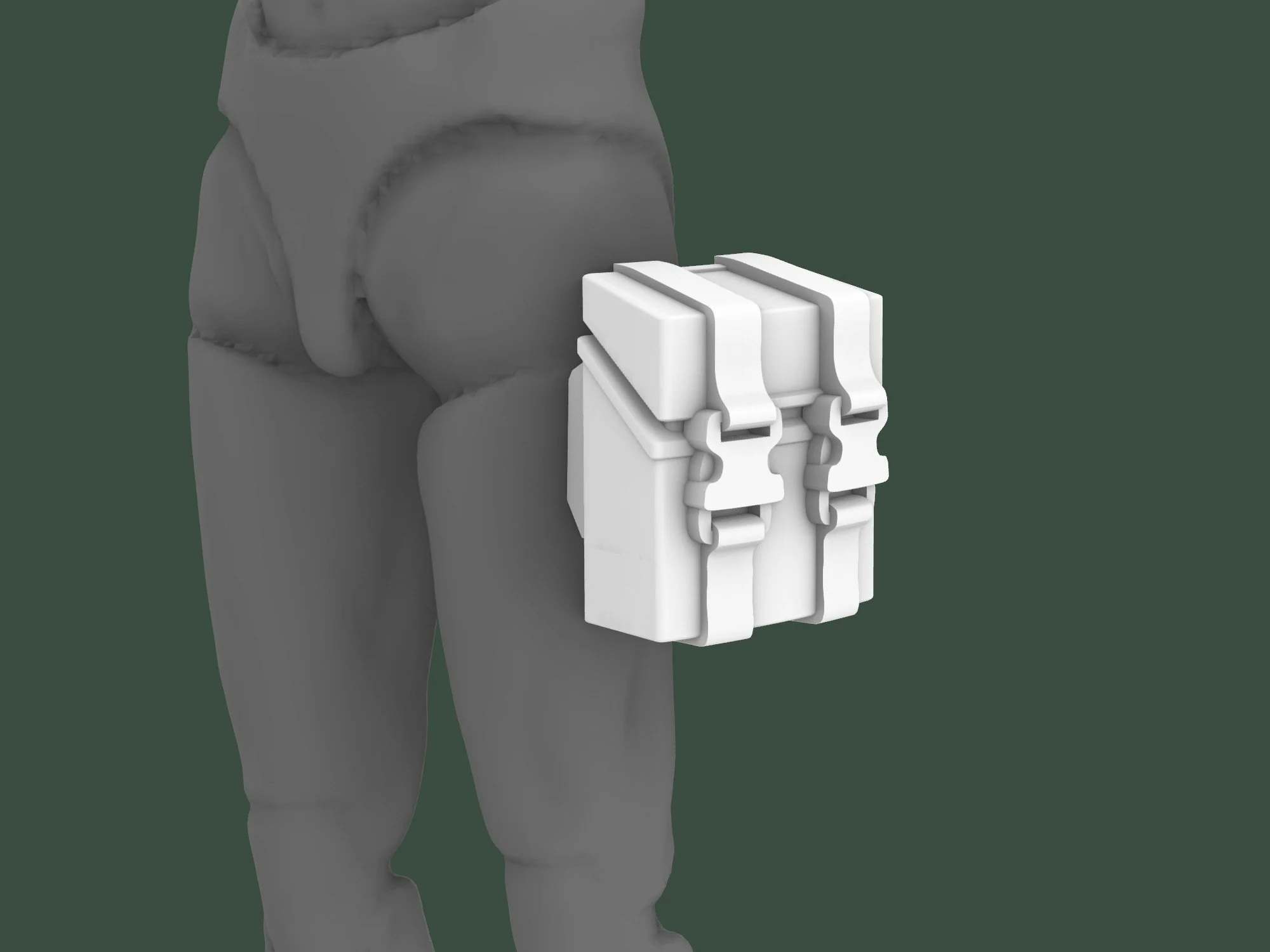 Large_Bucle_Pouch.jpg