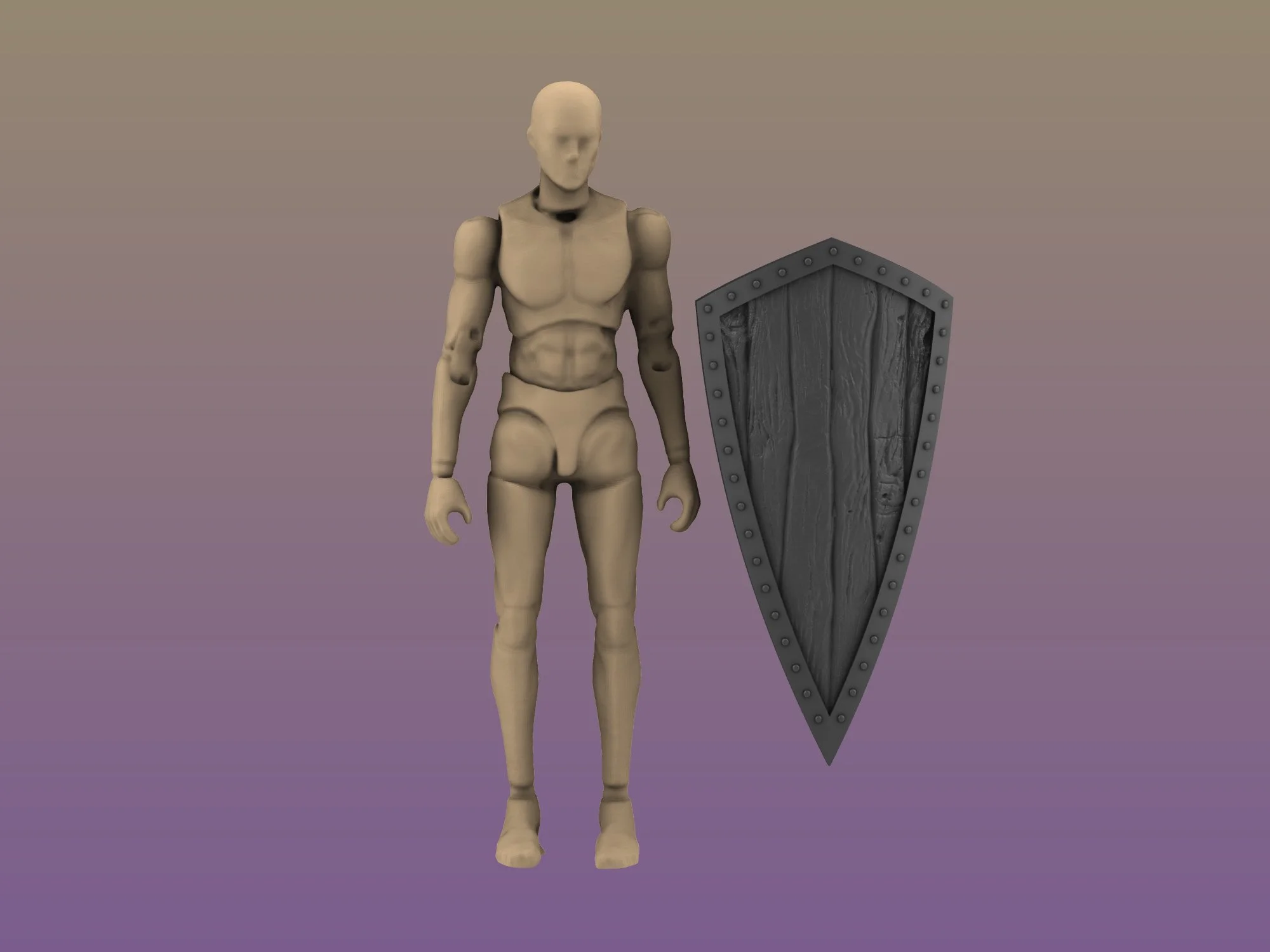 Milita_Shield_2.jpg