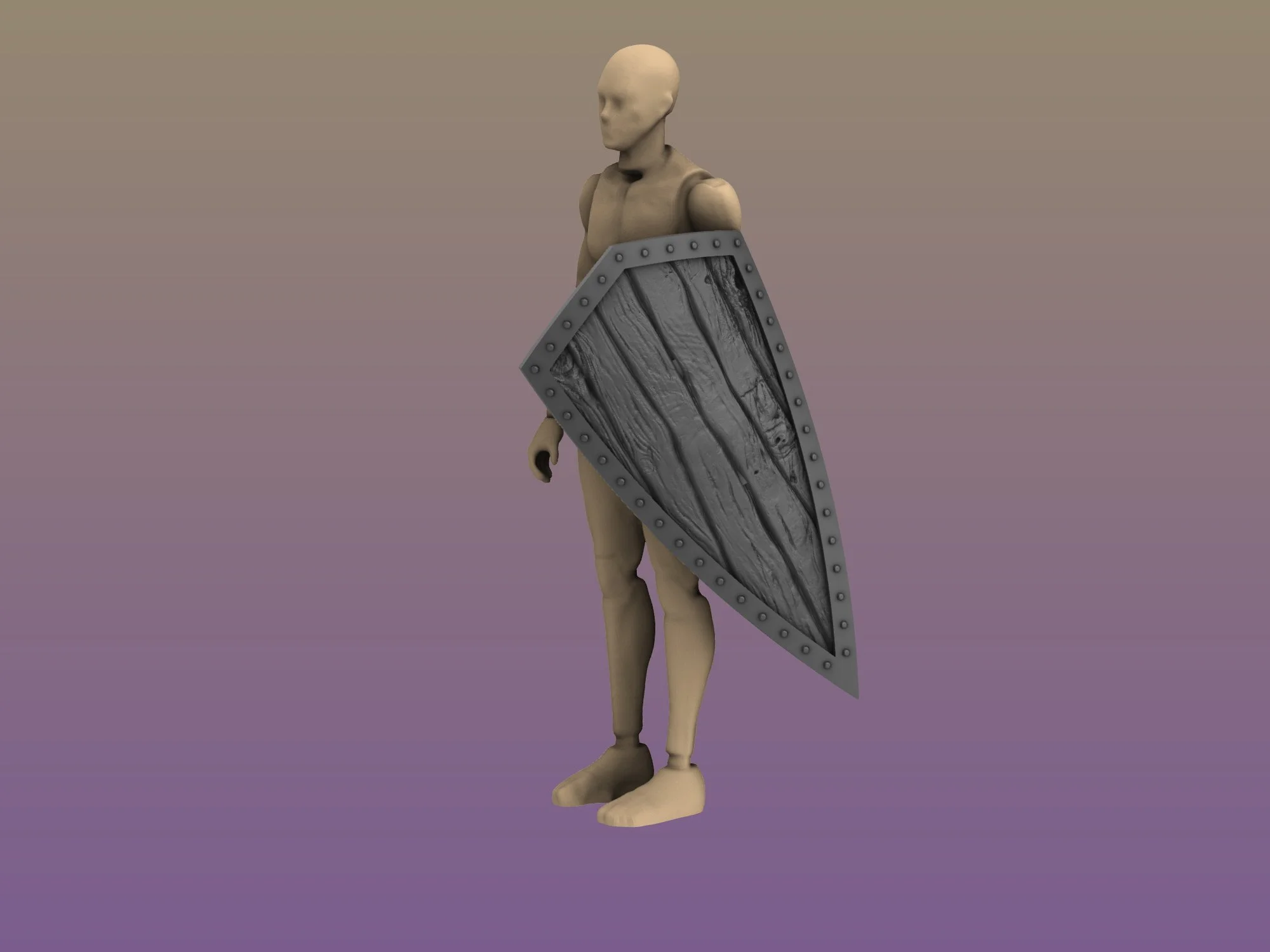 Milita_Shield_3.jpg