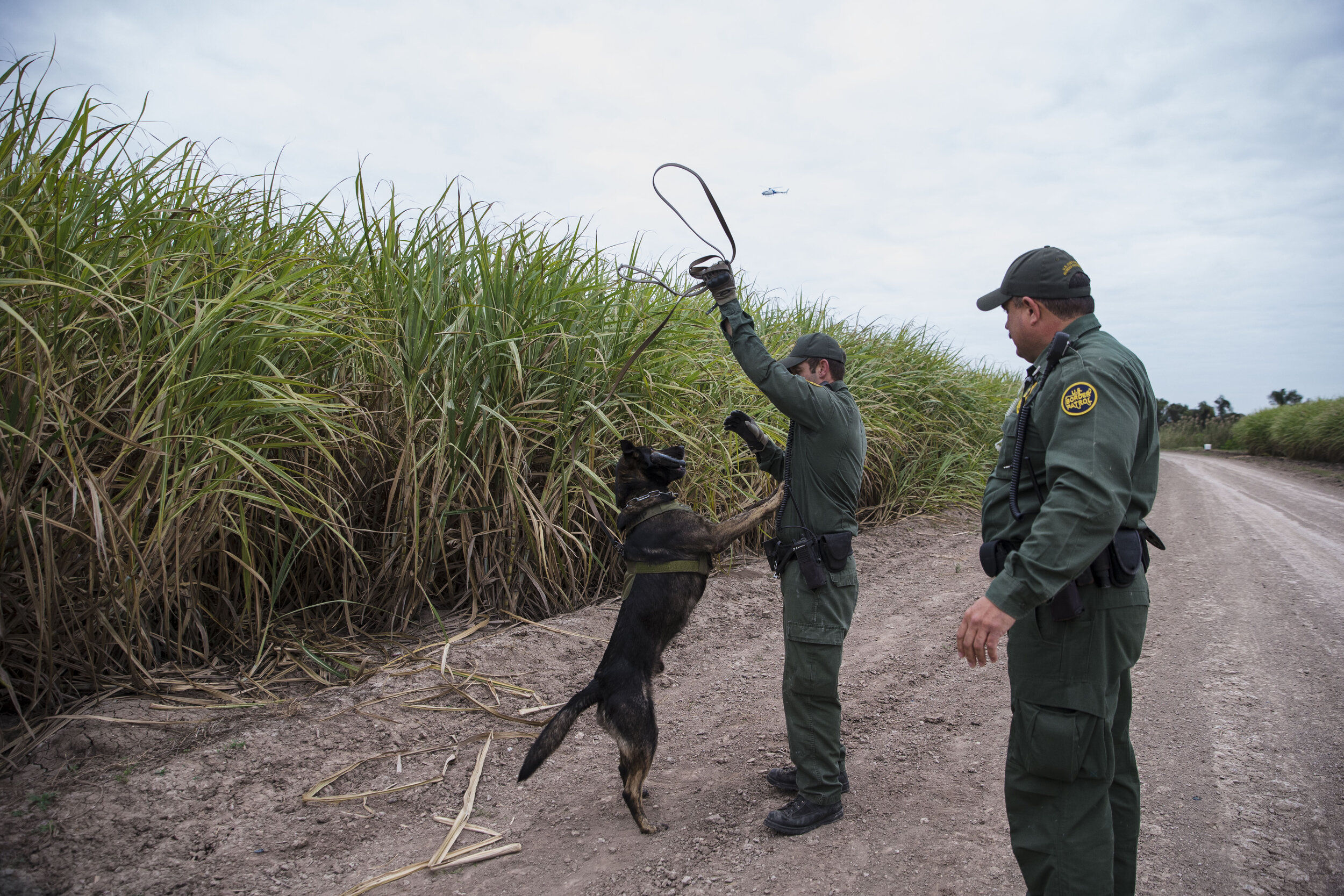  Border Patrol Agent Tait Seelhorst rewards his K-9 after apprehending a group of immigrants crossing the border from Mexico into the United States on Wednesday, Dec. 5, 2018, near McAllen, TX.   [Amanda Voisard/AMERICAN-STATESMAN]  