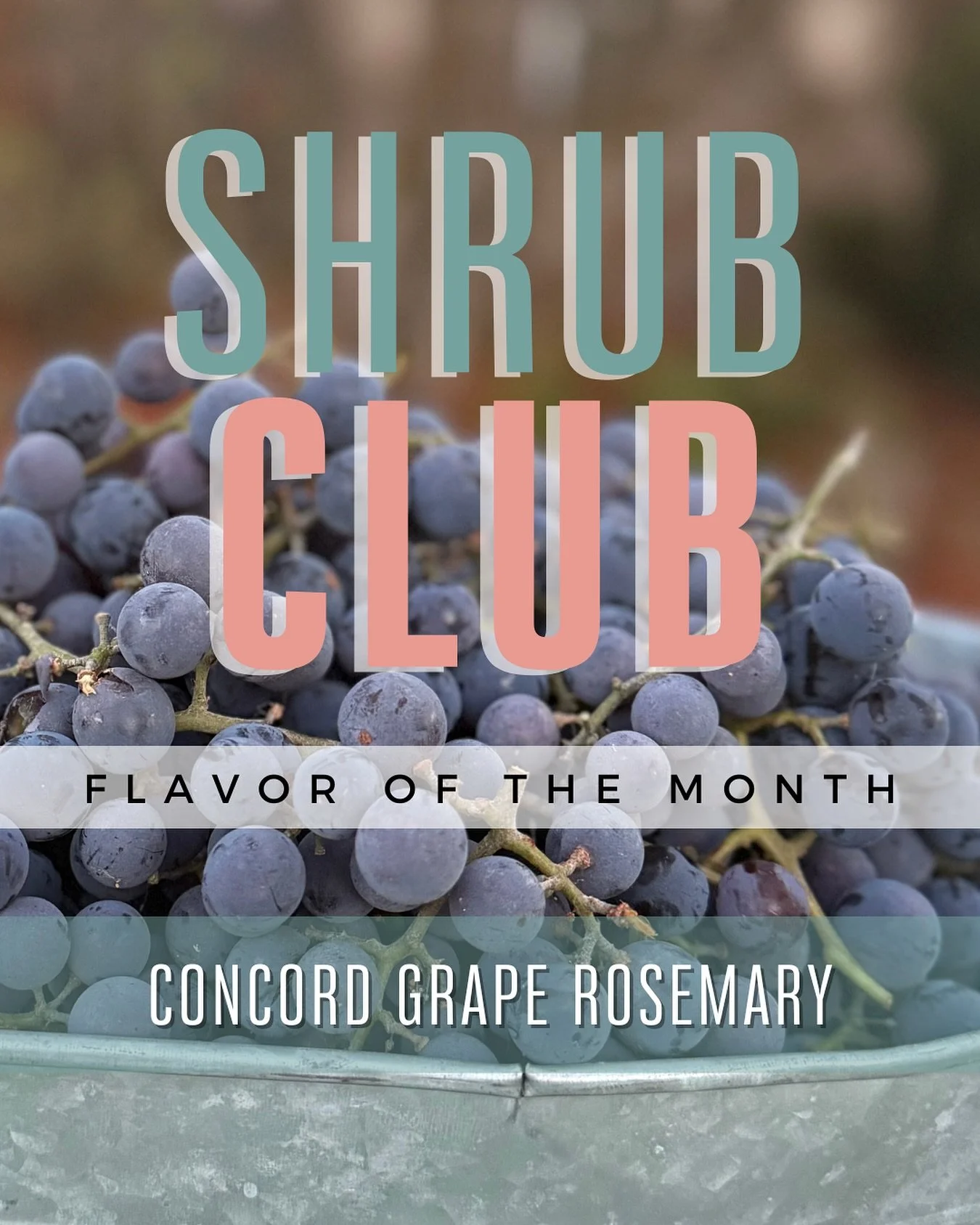 Welcoming 🍁October and Autumn with this 🍇CONCORD GRAPE ROSEMARY shrub. This is a fun collaborative shrub with grapes and rosemary from our friend @laportenapdx and @che.pdx. You will be able to find this shrub in a mocktail on the @che.pdx menu!
