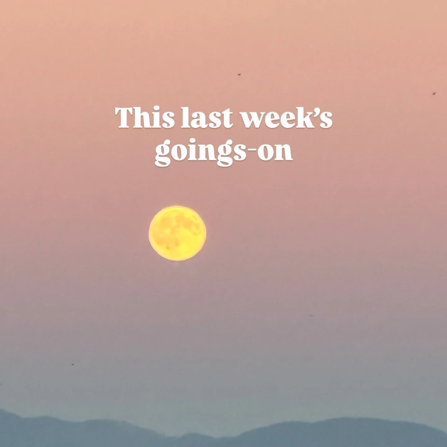 It was a well balanced week that included celebrations, sweet friendships, delicious bites, shrubs on shrubs (plus fire cider), hot springs/cold plunges and that gorgeous full Harvest super moon moonrise with a chorus of Sauvie birds! 🌕
Have you or