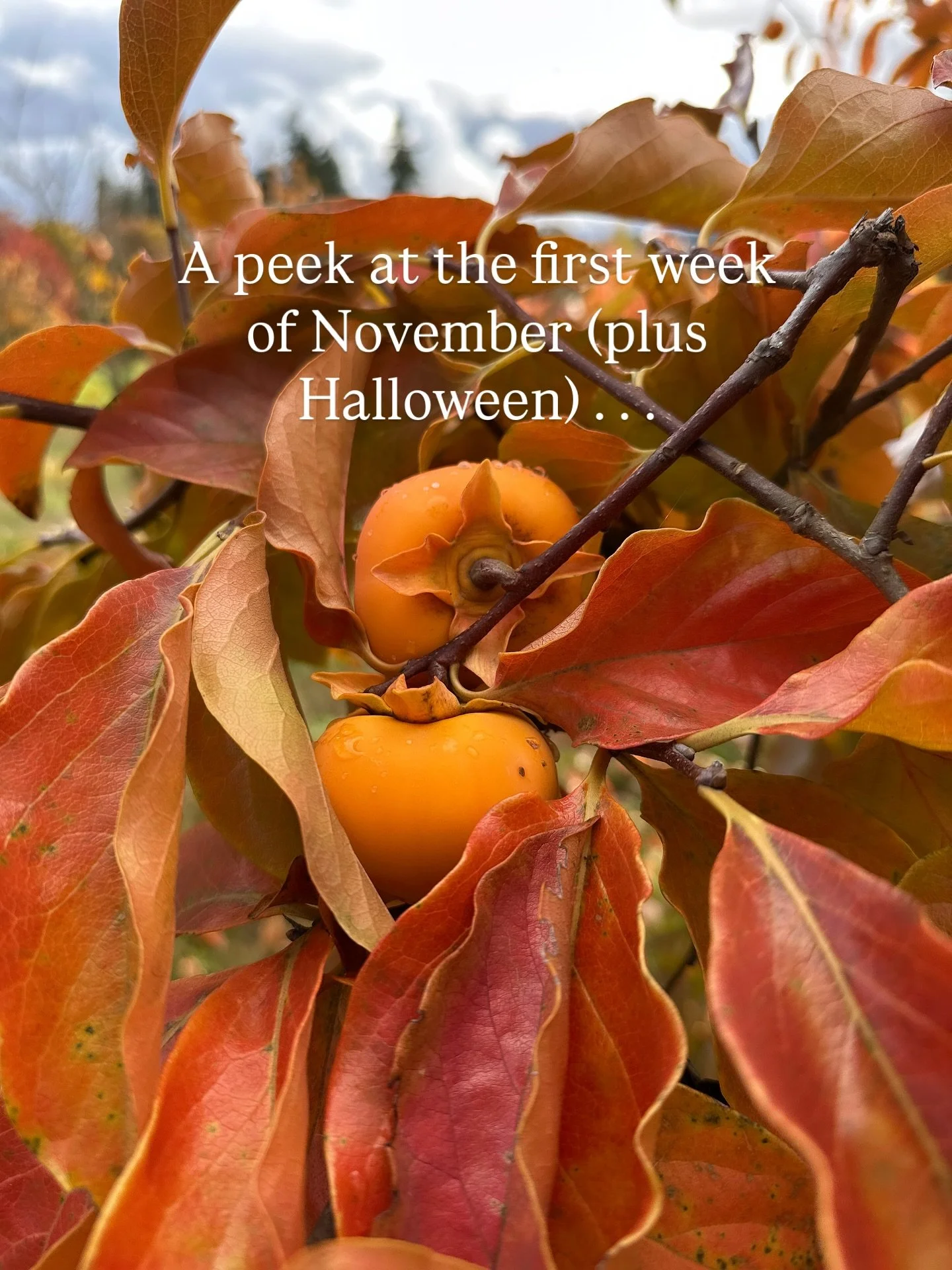 November is off to a good start!