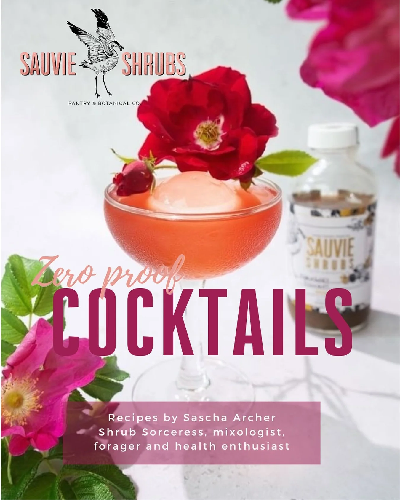Such EXCITING NEWS!!!!!! 🎉

We finally did it: our very first SHRUB RECIPE EBOOK is here, packed with some of our favorite zero-proof / booze-free cocktails, and just in time for the holidays!

You&rsquo;ll find 8 recipes inside (our 3 signature go-
