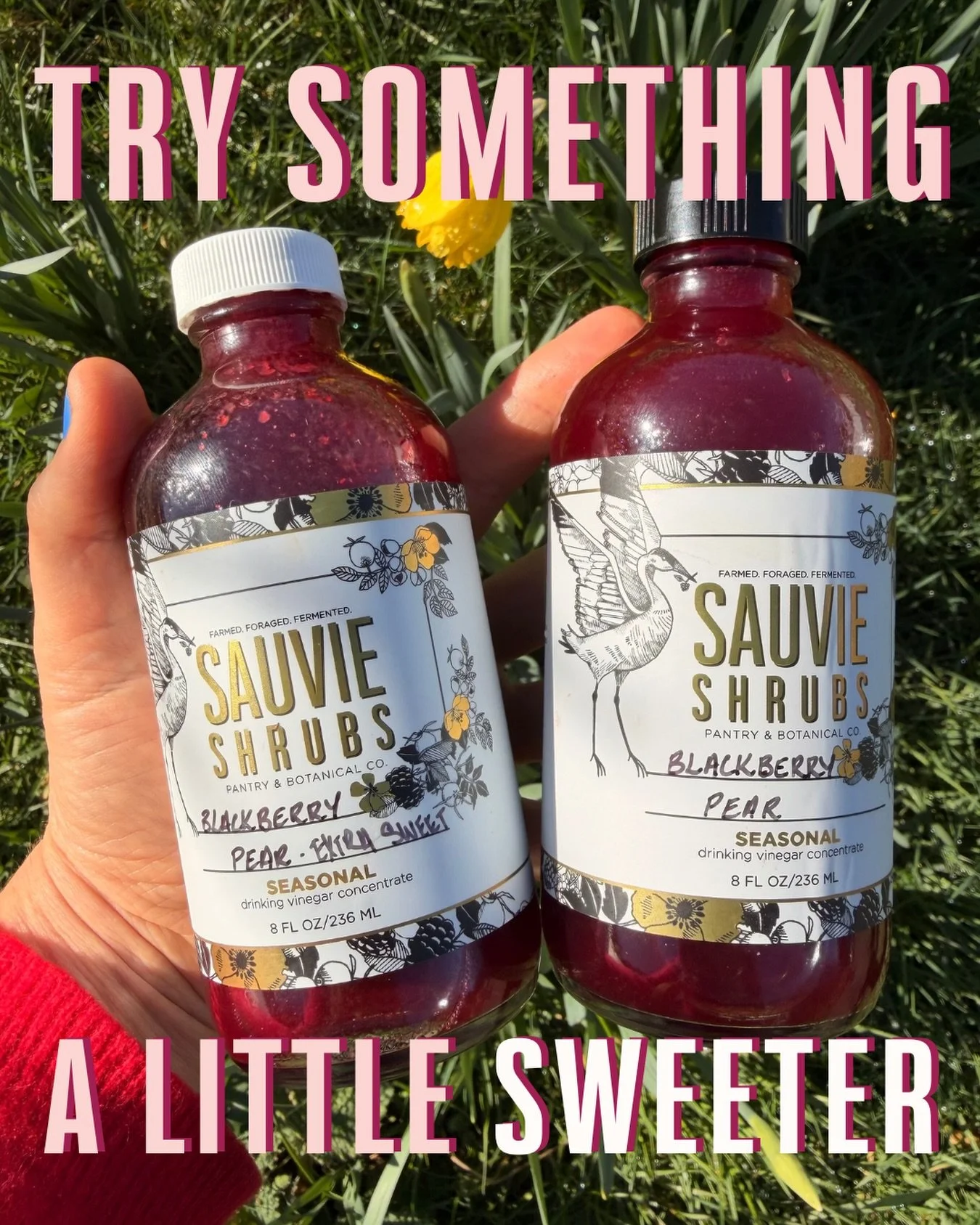 We did something fun (and a little different) this month! 👀

You know our shrubs are tart, fruity, and low in sugar. But we got curious&hellip; what if we made a sweeter, more &ldquo;traditional&rdquo; version? So we did. 

Now we need you to tell u