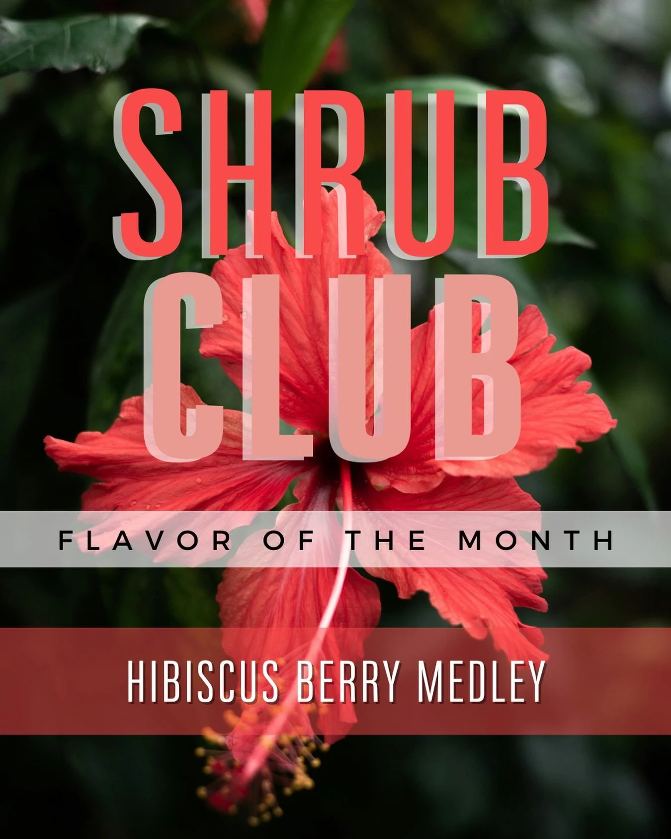 Hello sweet sweet spring! 🌸

As we wait on this Sauvie Rhubarb, we pause to bring you Hibiscus Berry Medley. Hibiscus from my recent trip to Mexico blended with juicy Marionberries, Blueberries, Strawberries and Raspberries makes for delicious!

Bey