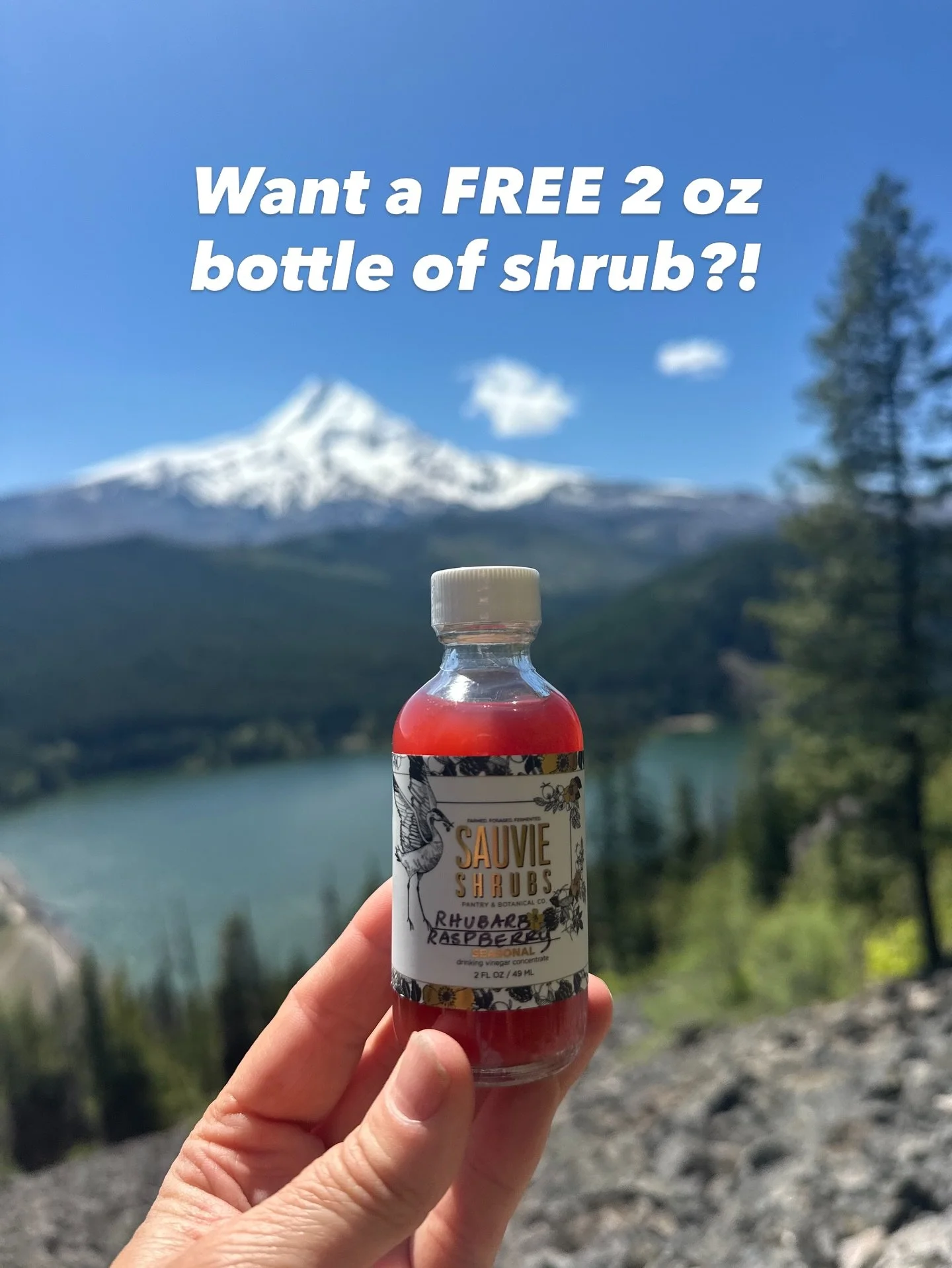 5 hikes in 5 days through the Gorge and Mt. Hood last week.

It was hot, dry, exposed and the kind of conditions where you have to level up your hydration game.

My go-to is Shrub + a pinch of sea salt in my water bottle. 

It&rsquo;s the easiest and