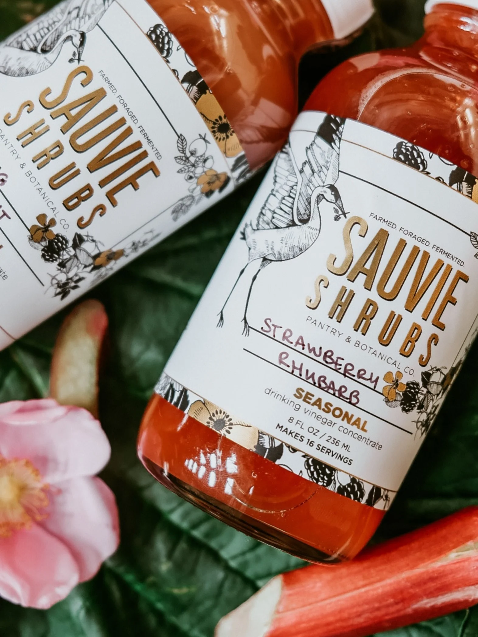 Back by popular demand and an all time favorite: STRAWBERRY RHUBARB shrub! 

Available tomorrow @portlandfarmers. Come sample the delightful Strawberry Rhubarb shrub lemonade, say hello and grab a bottle for all your shrub spritzers and spring salads