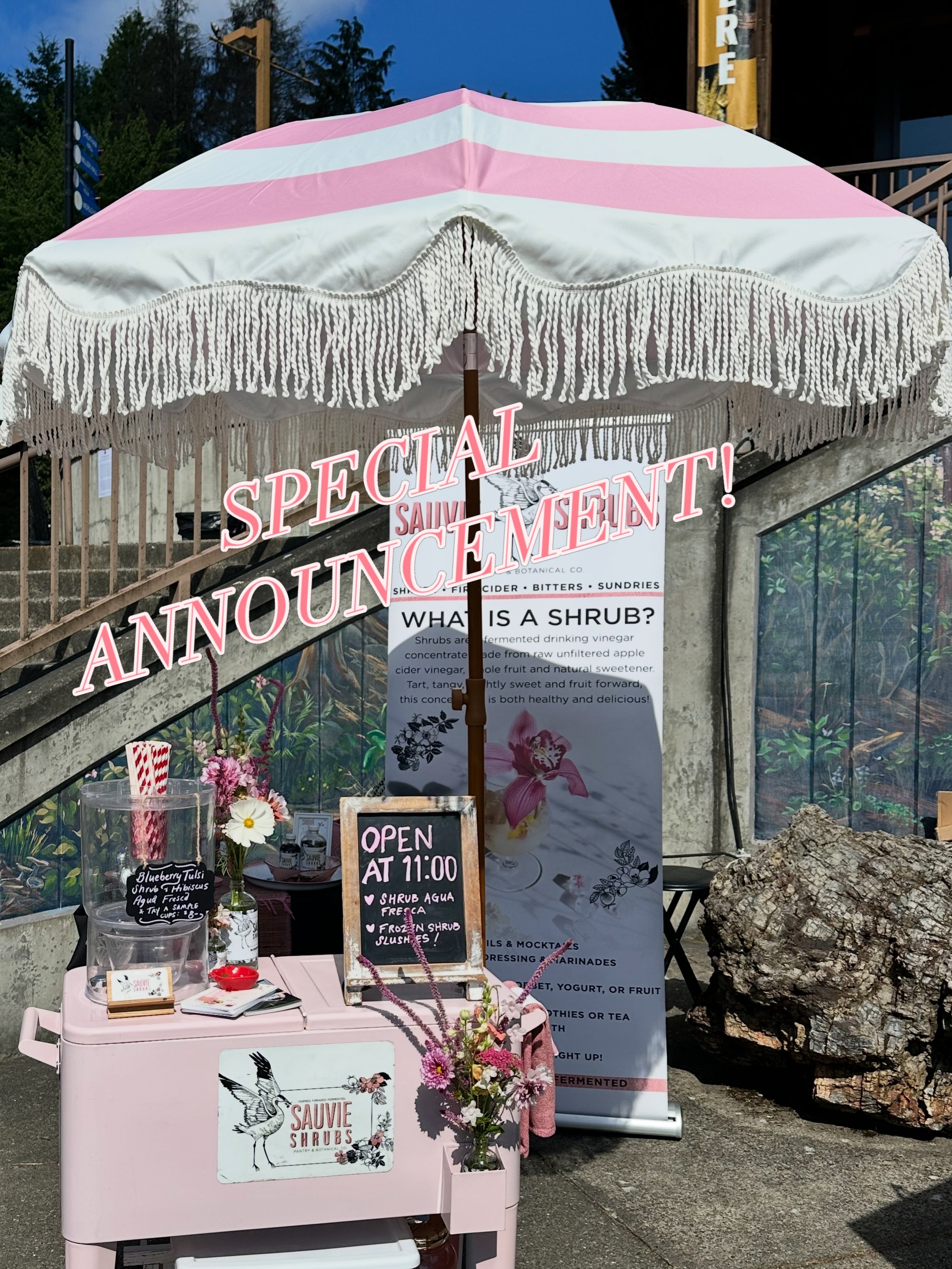 Got a little surprise for you! ✨

Tomorrow, I&rsquo;ll be popping up with the SHRUB CART at @nwmarineartworks to make all your NA shrub cocktail dreams come true.

I&rsquo;m currently brewing up a Jamaica (hibiscus) agua fresca that&rsquo;ll be mixed