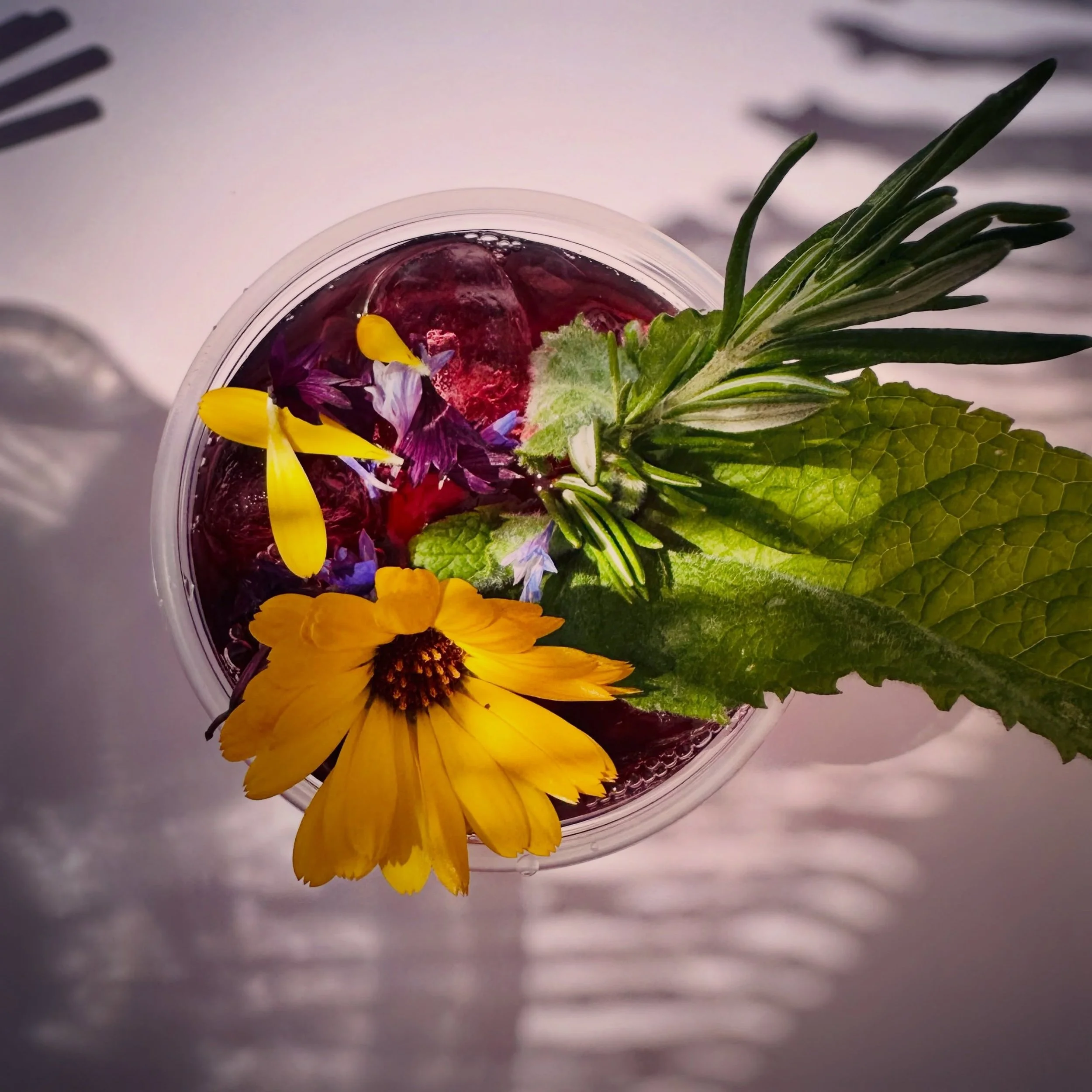 Well, that was cute! 🥰

At the last minute, on Day 3, I decided to roll out the Shrub Cart (while we were also vending inside) to share some refreshing NA shrub cocktails with you all, and WOW, it was a hit. 

Thank you for selling us out, and thank