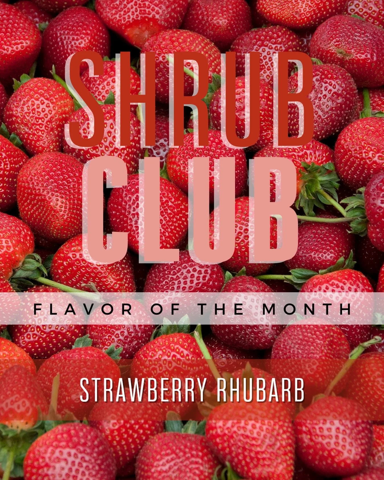 Are you as excited as we are that it&rsquo;s PEAK 🍓🍓🍓 season?! We are deep in it and give you this favorite STRAWBERRY RHUBARB flavor for June shrub club! 

Want in? Shrub Club offers:
&bull; Monthly shrubs shipped to your door (or easy pick-up at