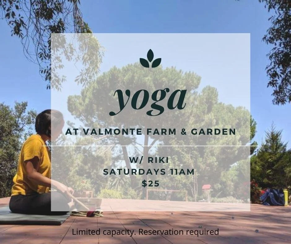 Garden Yoga 