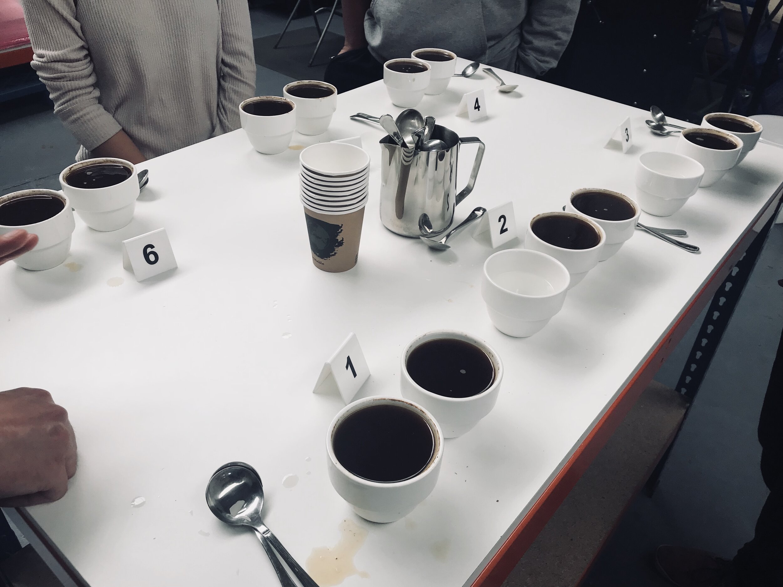 Learning about flavor profiles and professional coffee cupping at Round Hill Roastery in Bath, UK.