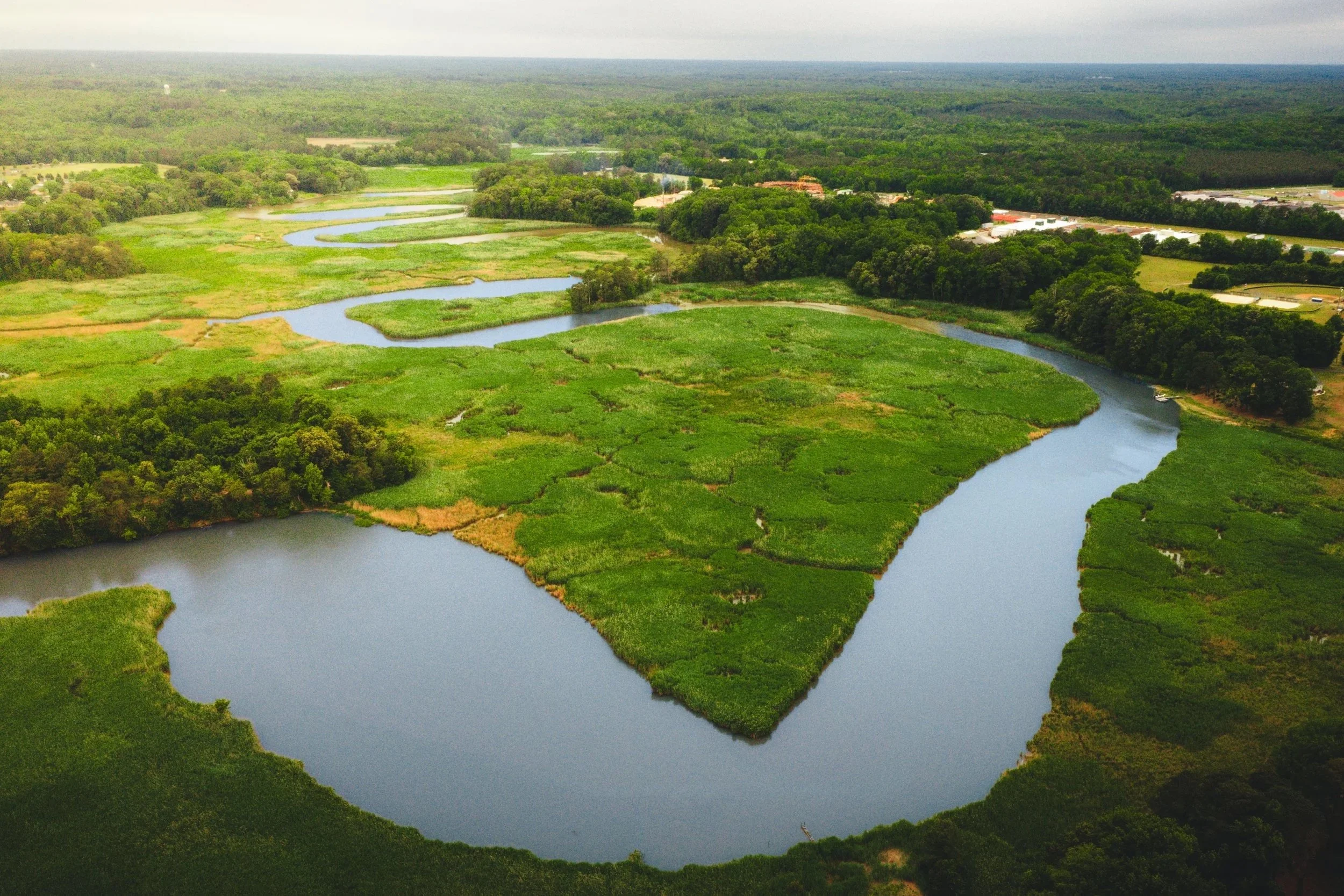 Hoskins Creek 