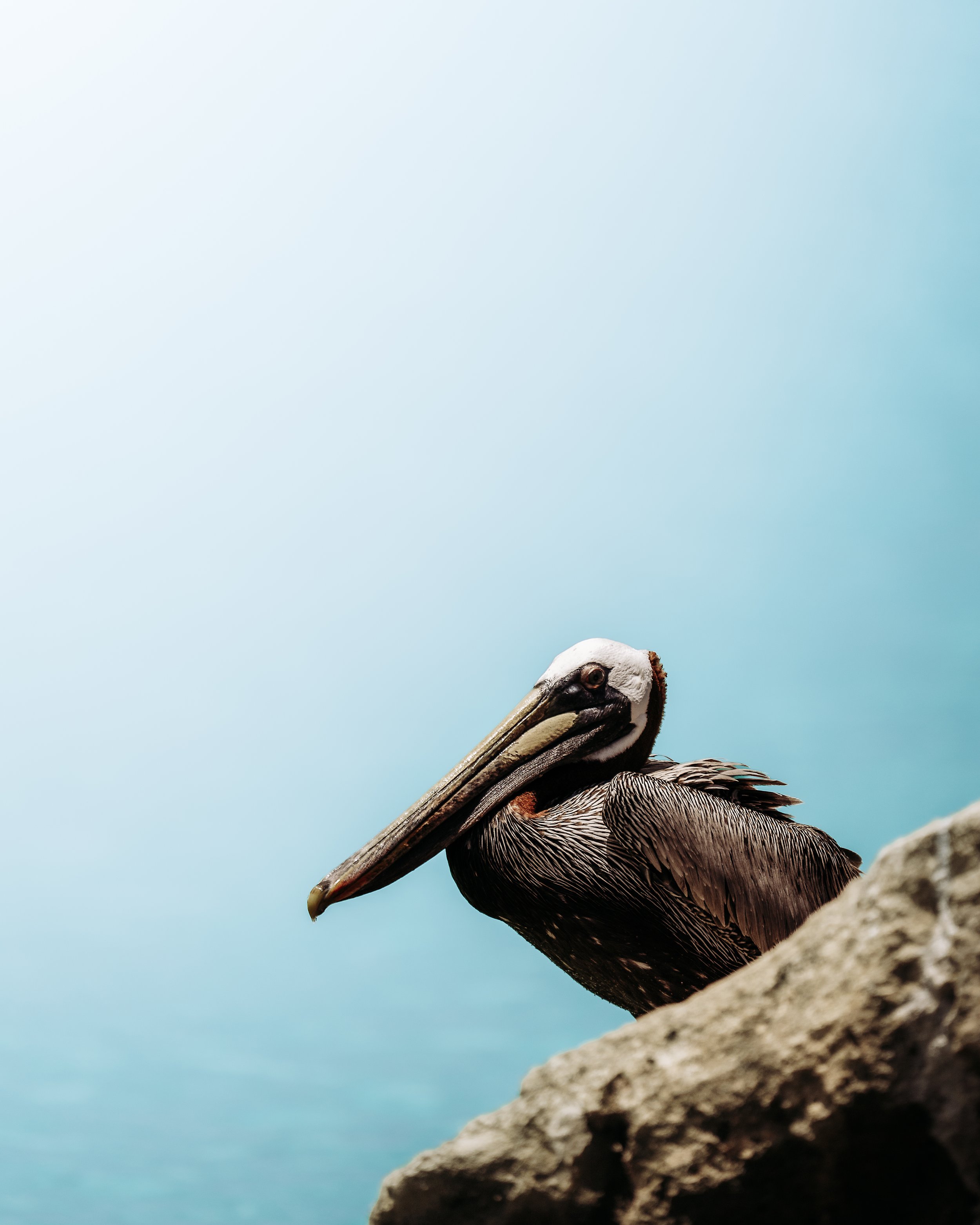 _DSC9357-Edit.jpeg