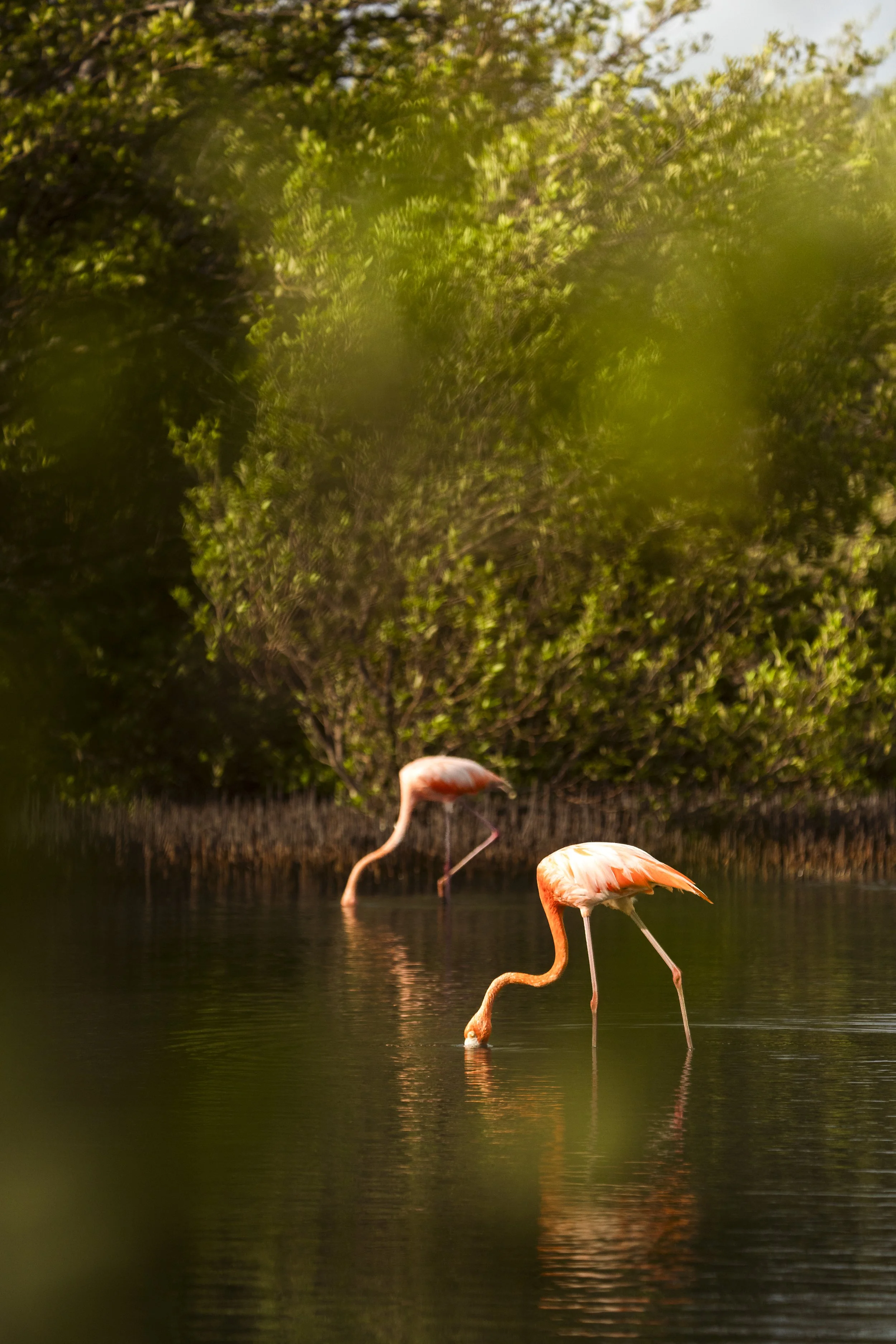 _DSC0591-Edit.jpeg