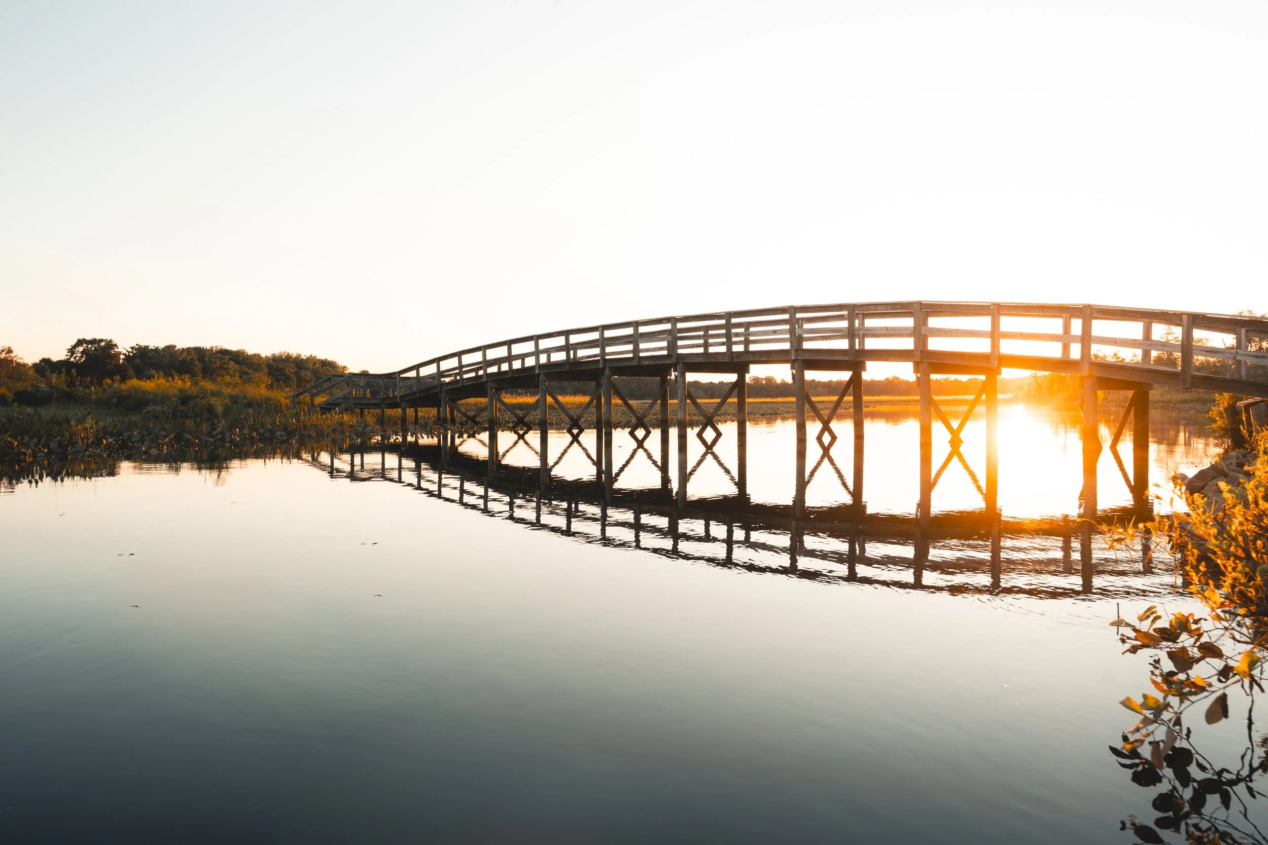 _DSC3618-Edit.jpeg