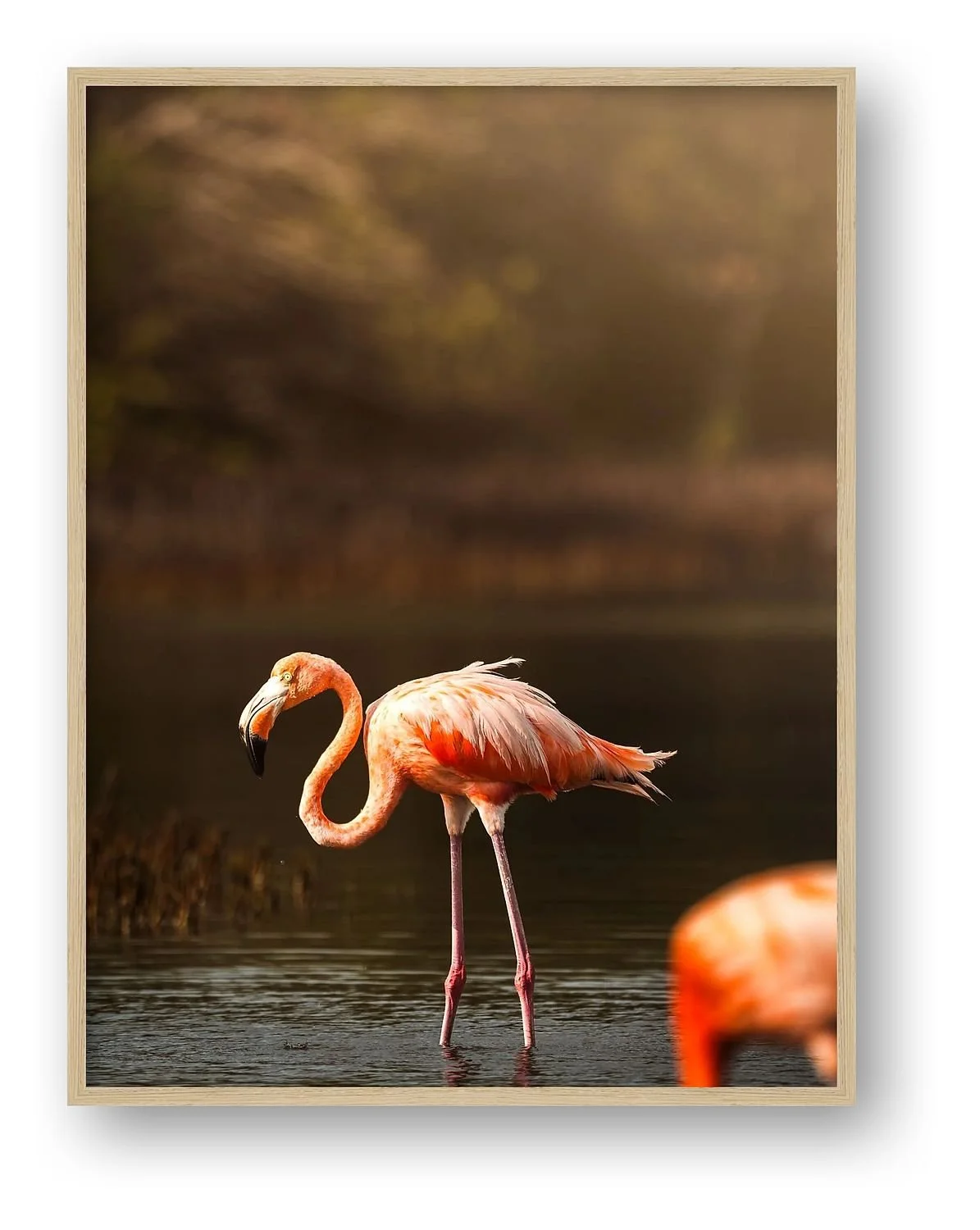preview_0870e9fc.jpg