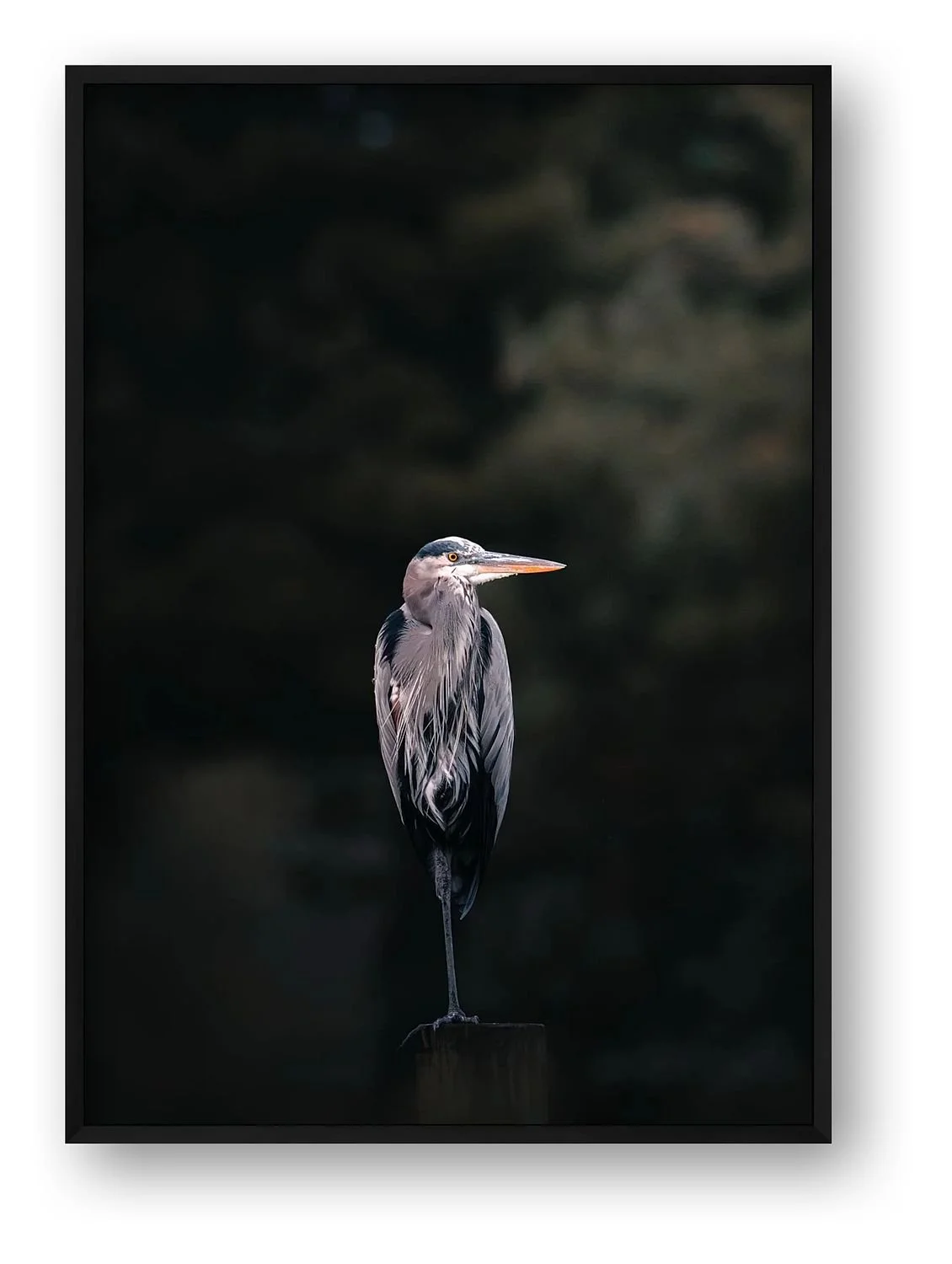 preview_91522aeb_5d573825.jpg