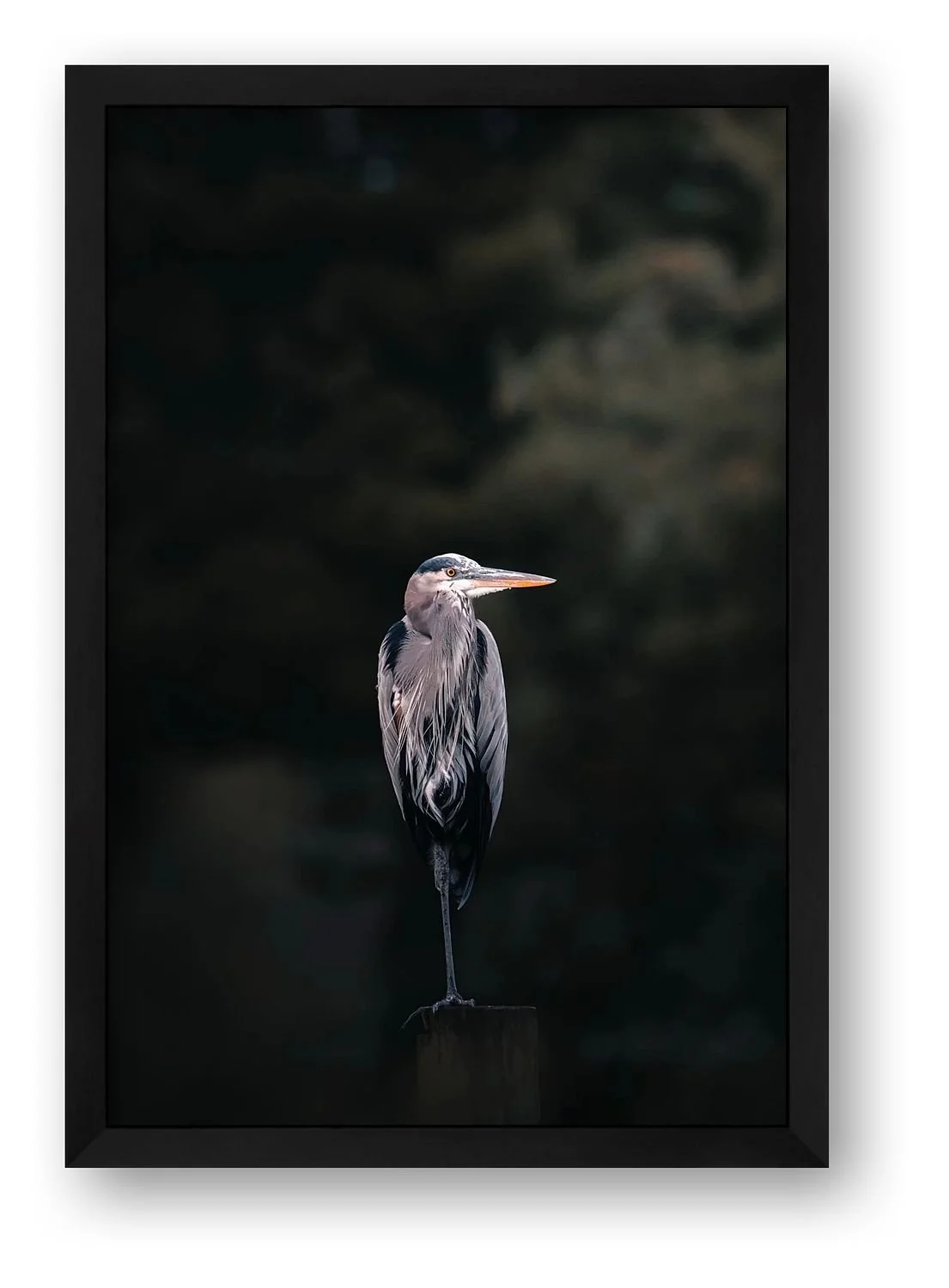 preview_43c1f1f4_8c9f0ae5.jpg