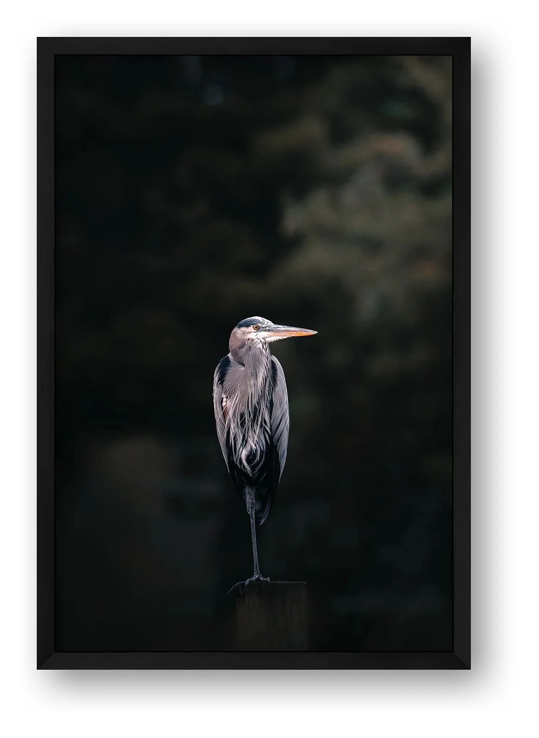 preview_28923f9f_4296aa12.jpg