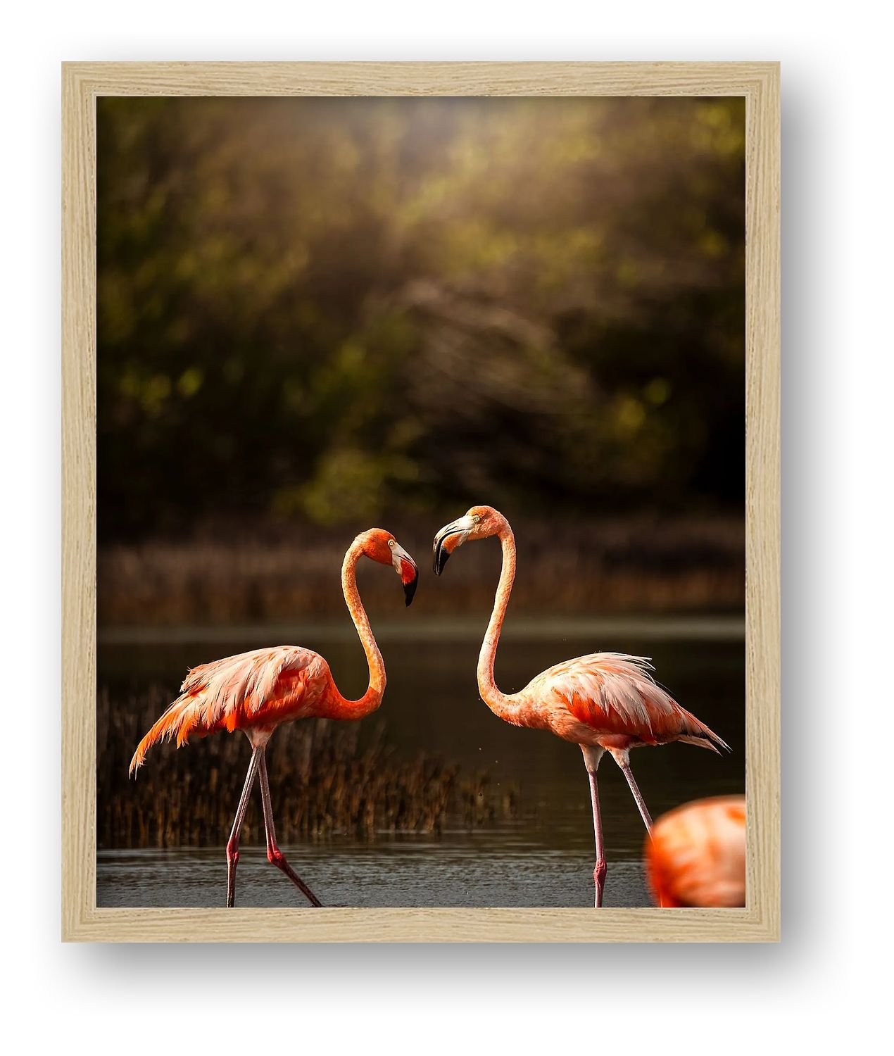 preview_6e062b2a_6531fc77.jpg