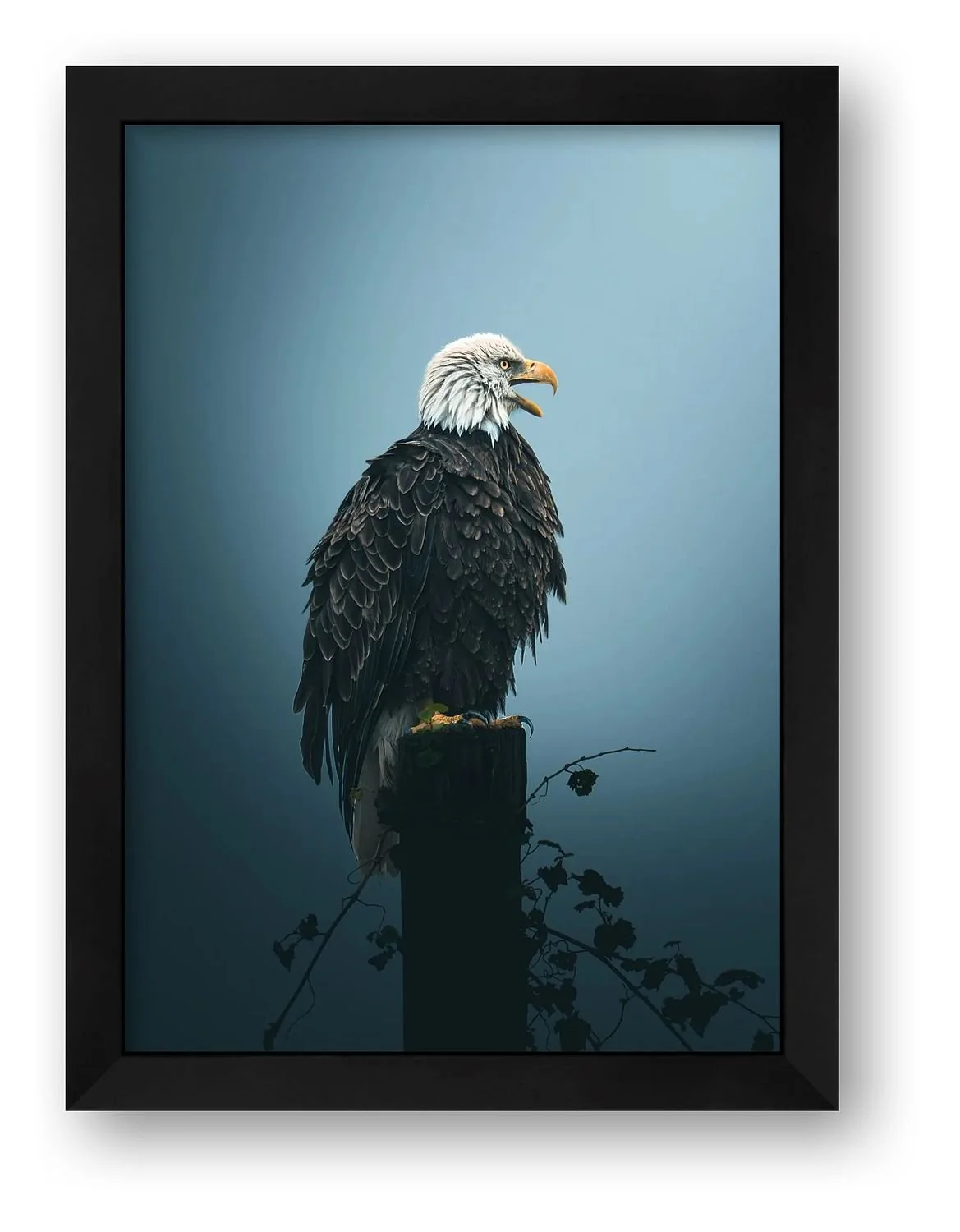preview_19f1b7f4_d8b189d8.jpg