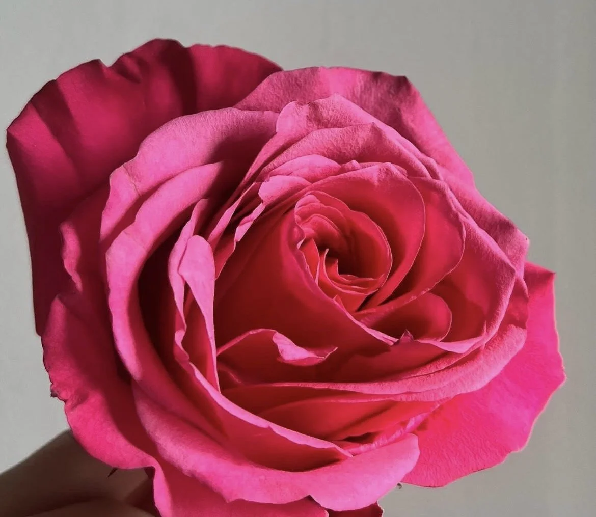 Hot Pink