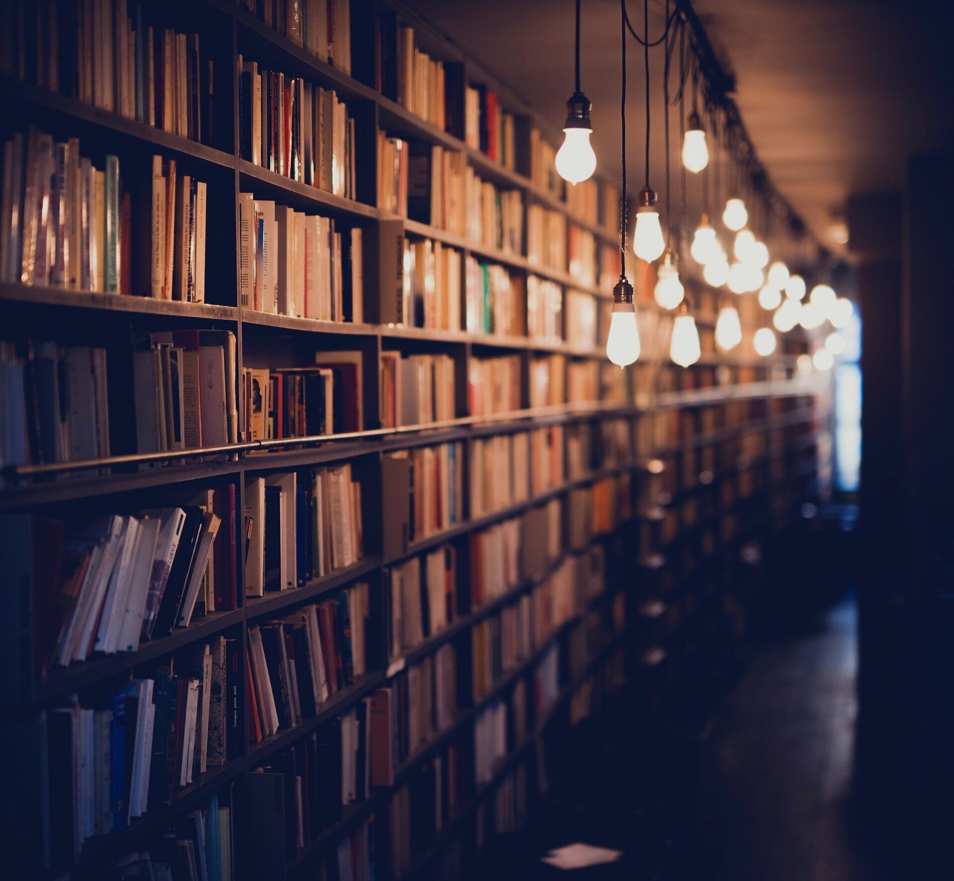 books-2596809_1920.jpg