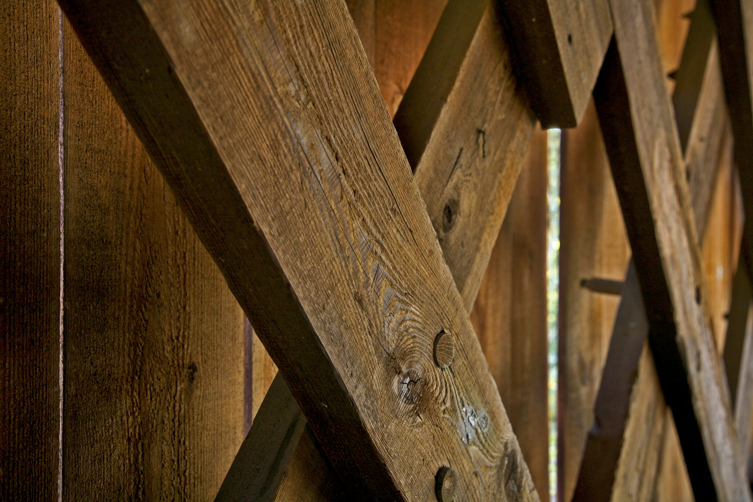 Wood