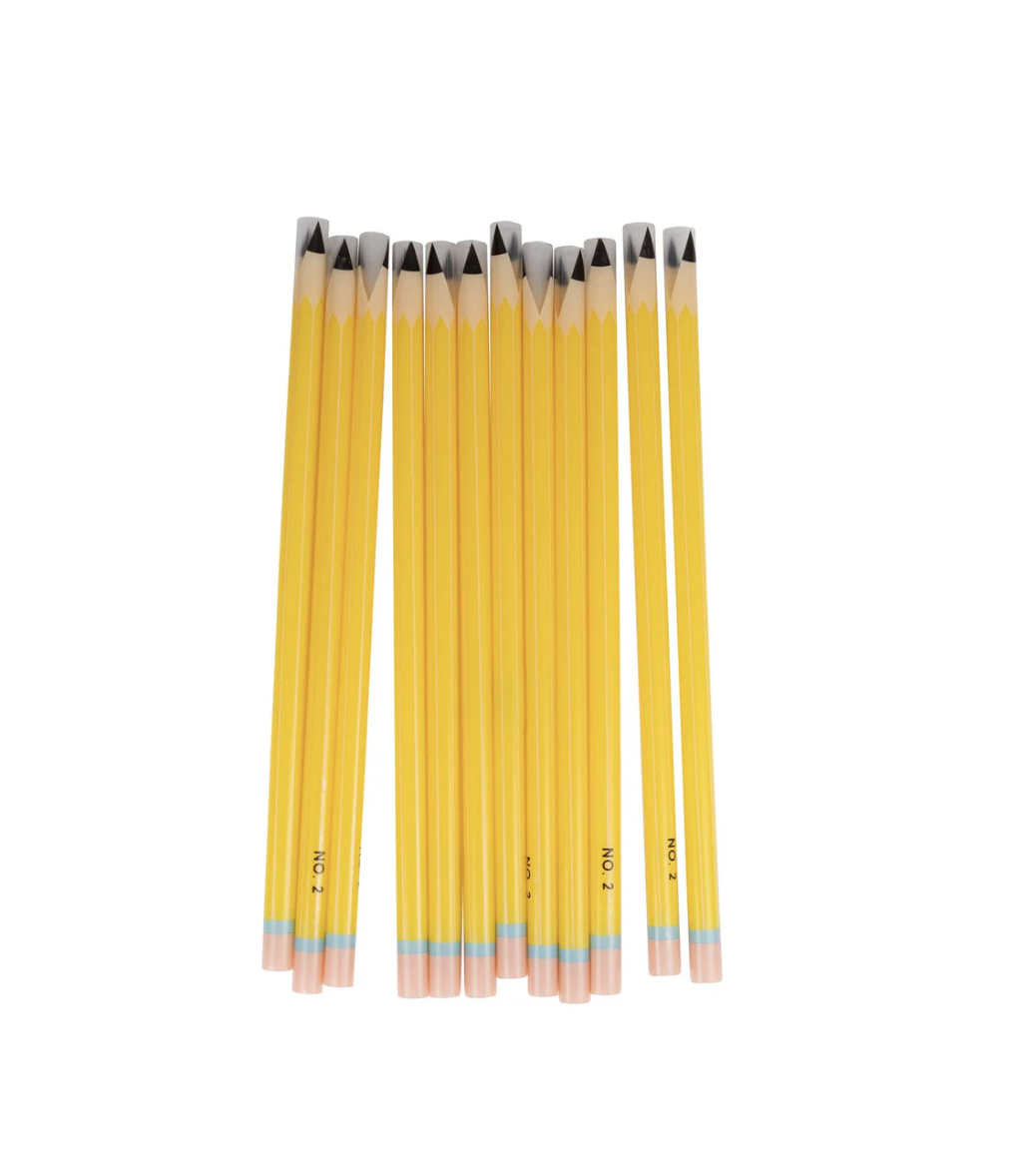 Reusable Pencil Straws - 12 Pack