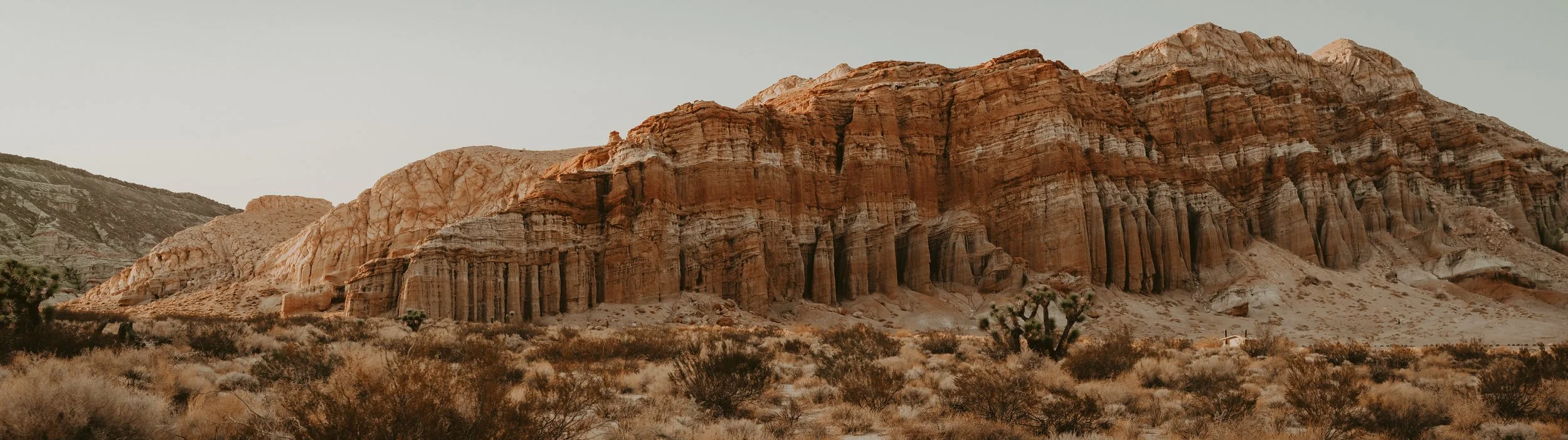 DuelDesktop2 (1 of 1).jpg