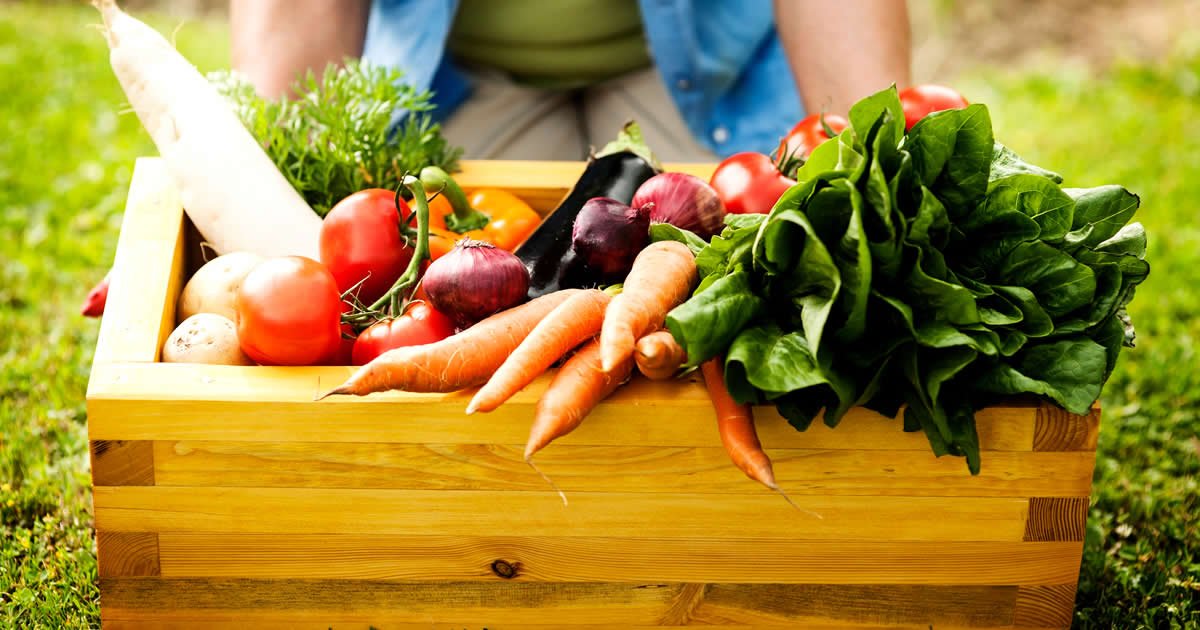 comprar frutas y verduras directo al agricultor