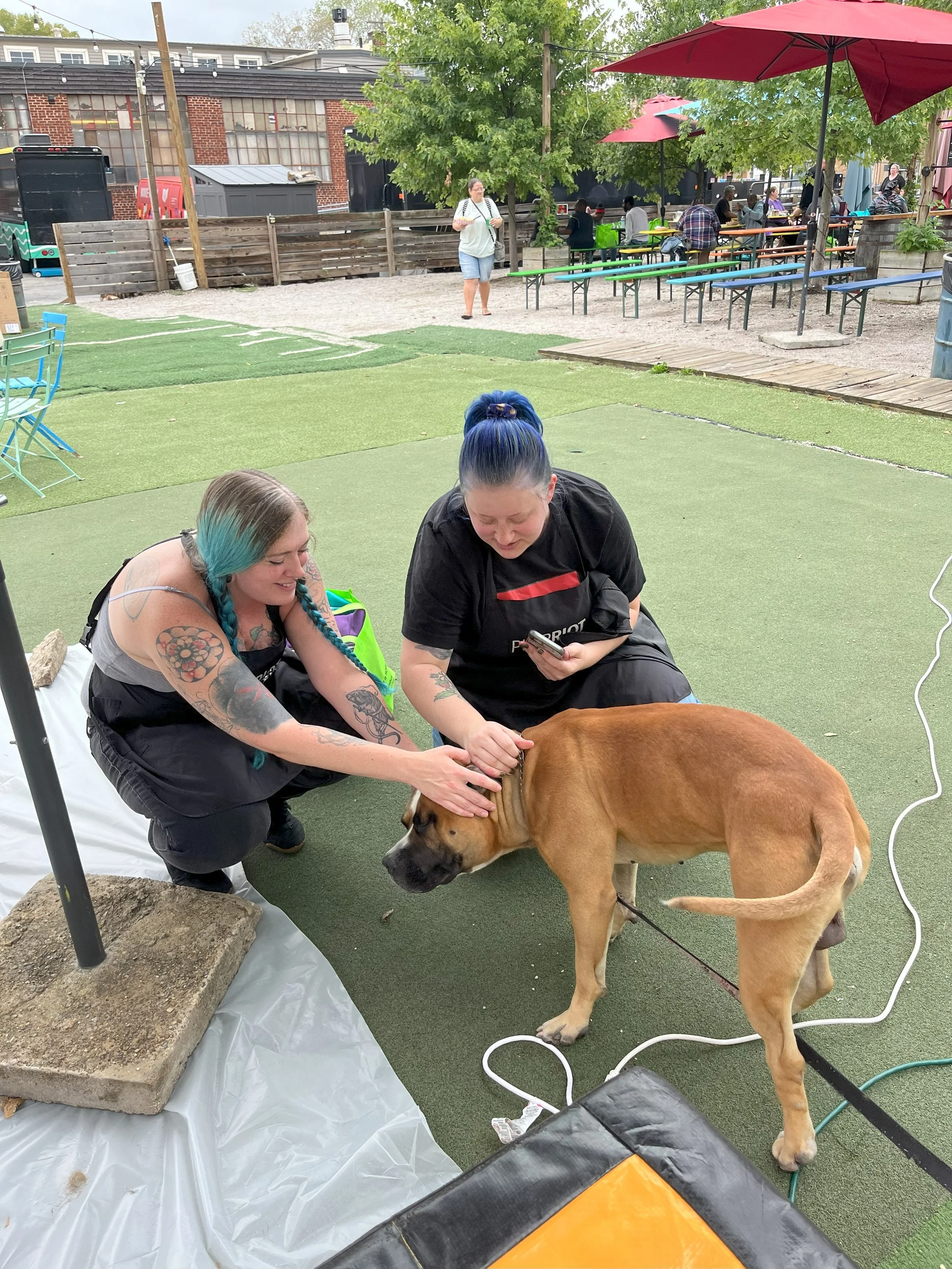 A Leash and a Lifeline: Why Pets Matter in the Fight Against Homelessnes