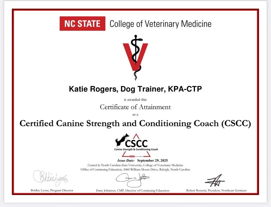 Officially have my second certification for Canine Fitness.
The first one was all thanks to Mila having spinabifida, and changing all my plans.
This one is thanks to Rizzo breaking her leg at 3 months old, and again, changing all my plans.
I&rsquo;m 