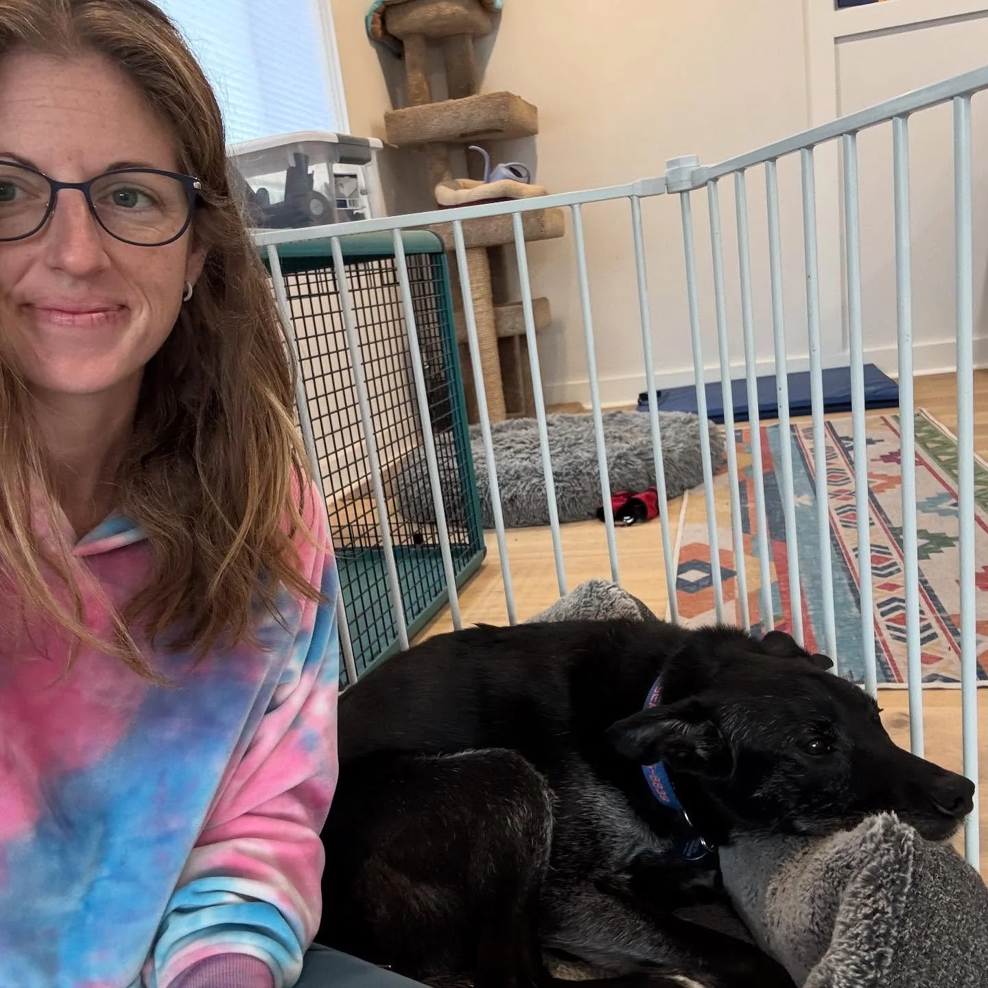Chelsea is back! And this time she&rsquo;s playing with puppies, cuddling in dog beds with me, and overall just a happier more relaxed lady. This is my favorite part of my job. Watching dogs feel good and okay.