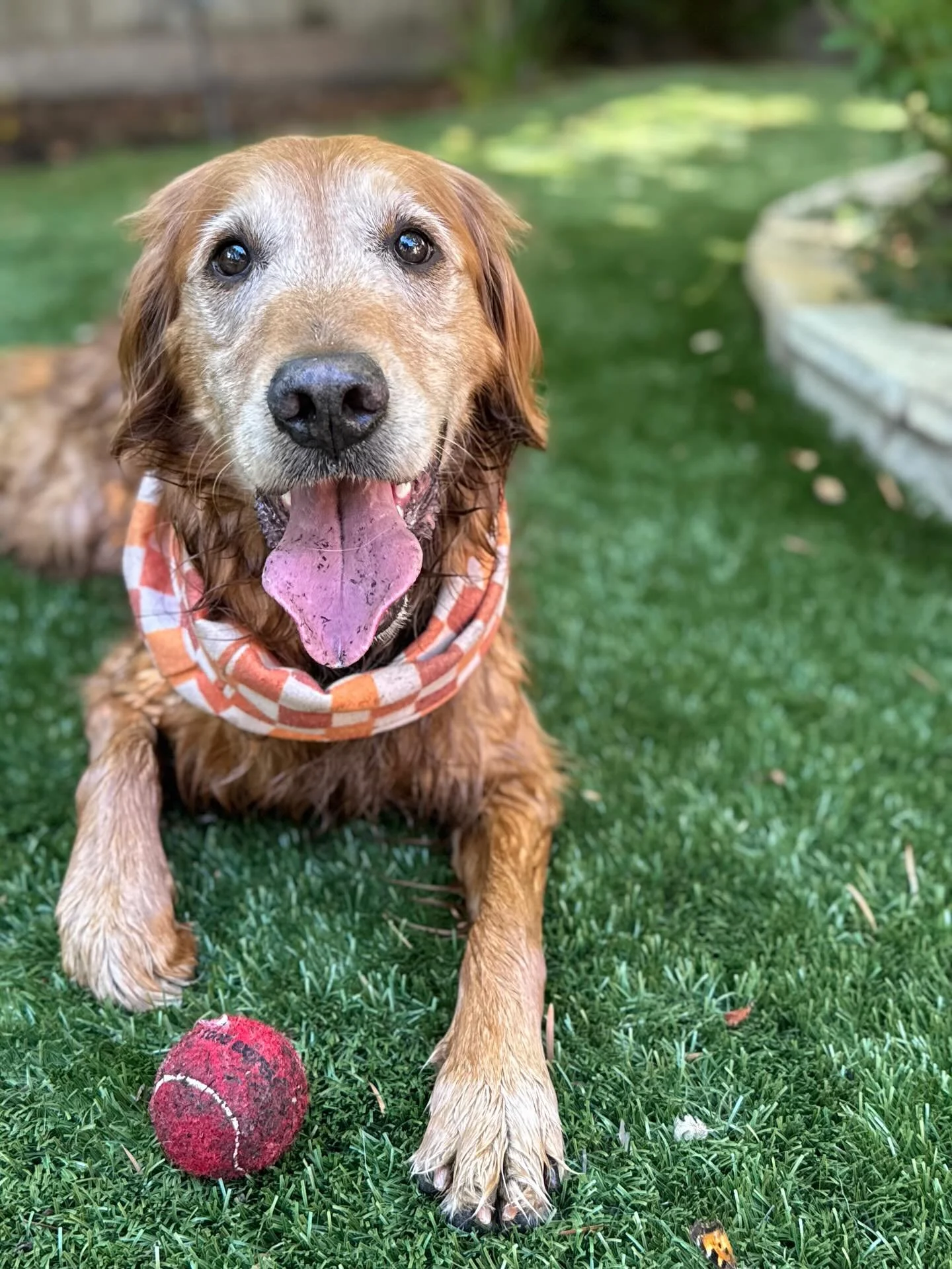 7 years old ❤️